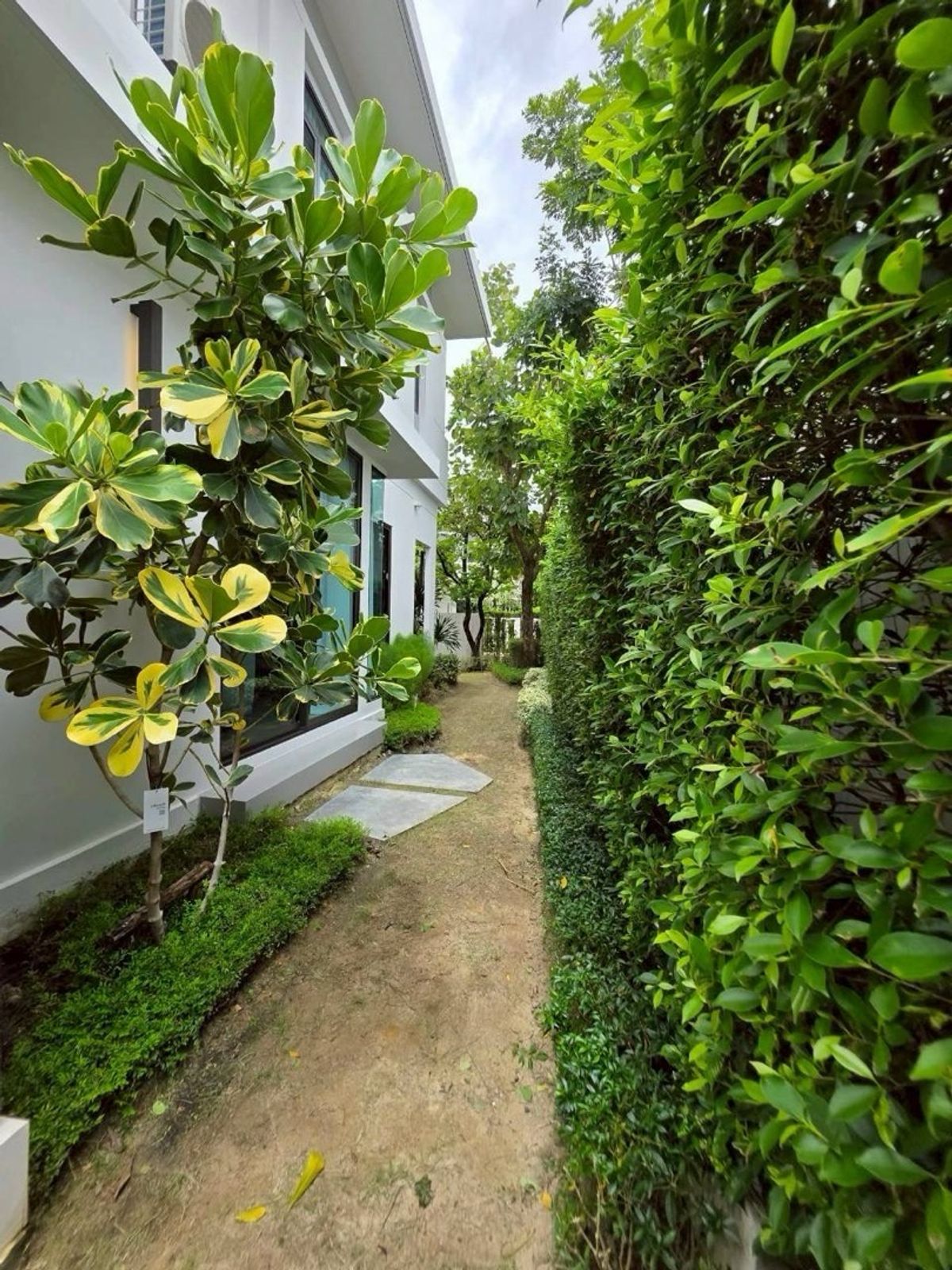 For RentHouseSamut Prakan,Samrong : Manthana Bangna Km. 15 | Beautiful new house, ready to be near the central garden.