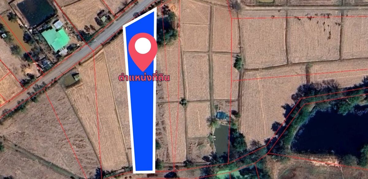 ขายที่ดินขอนแก่น : ขายที่ดินเปล่า 1 ไร่ 33.3 ตรว ต.แดงใหญ่ อ.เมือง ขอนแก่น ที่ดินทำเลดี เดินทางสะดวก ติดชุมชนและสิ่งอำนวยความสะดวกครบ