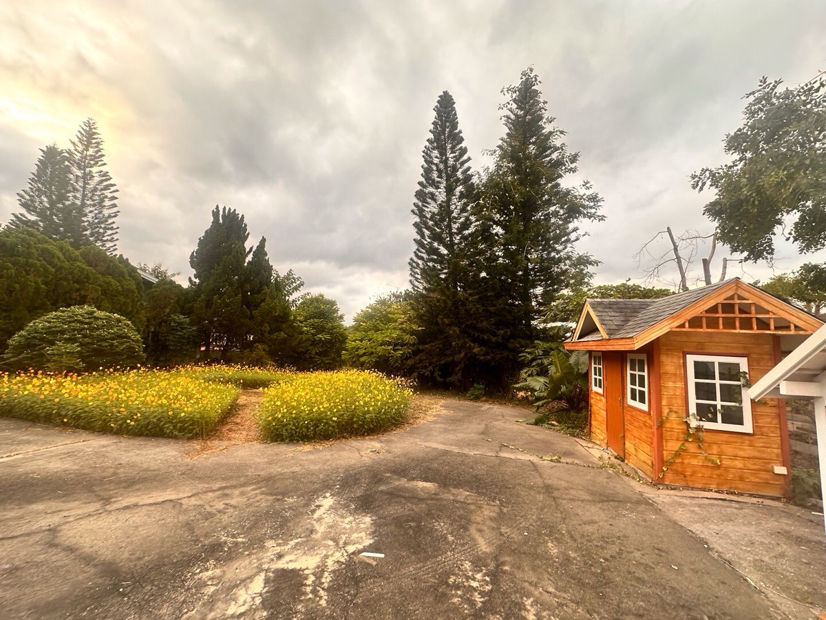 ขายที่ดินปากช่อง เขาใหญ่ : เเบ่งขายไปหลายเเปลง ขายที่ดินเขาใหญ่ สวยสมญานามสวิตเซอร์เเลนด์เมืองไทย เเปลงอยู่บนเนินเห็นภูเขายาวจากซ้ายจรดขวา ที่ดินสูงจากระดับน้ำทะเลประมาณ 370 เมตร อยู่ในโครงการปลอดภัย น้ำไฟถนนเเละสาธารณูปโภคครบ