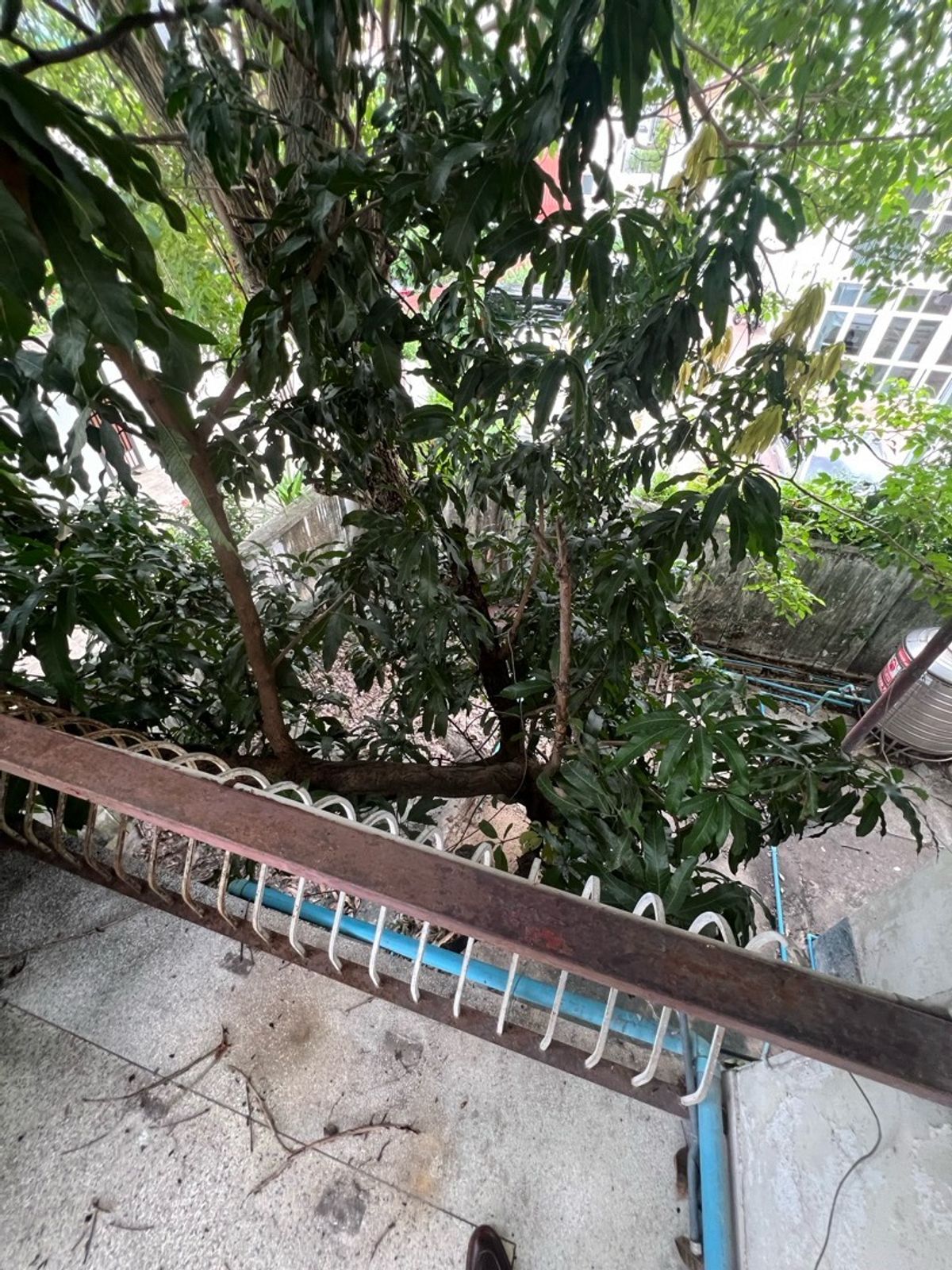 For RentRetail SpaceSukhumvit, Asoke, Thonglor : Rent a detached house, Sukhumvit 49, Thonglor for a long -term renovated business.