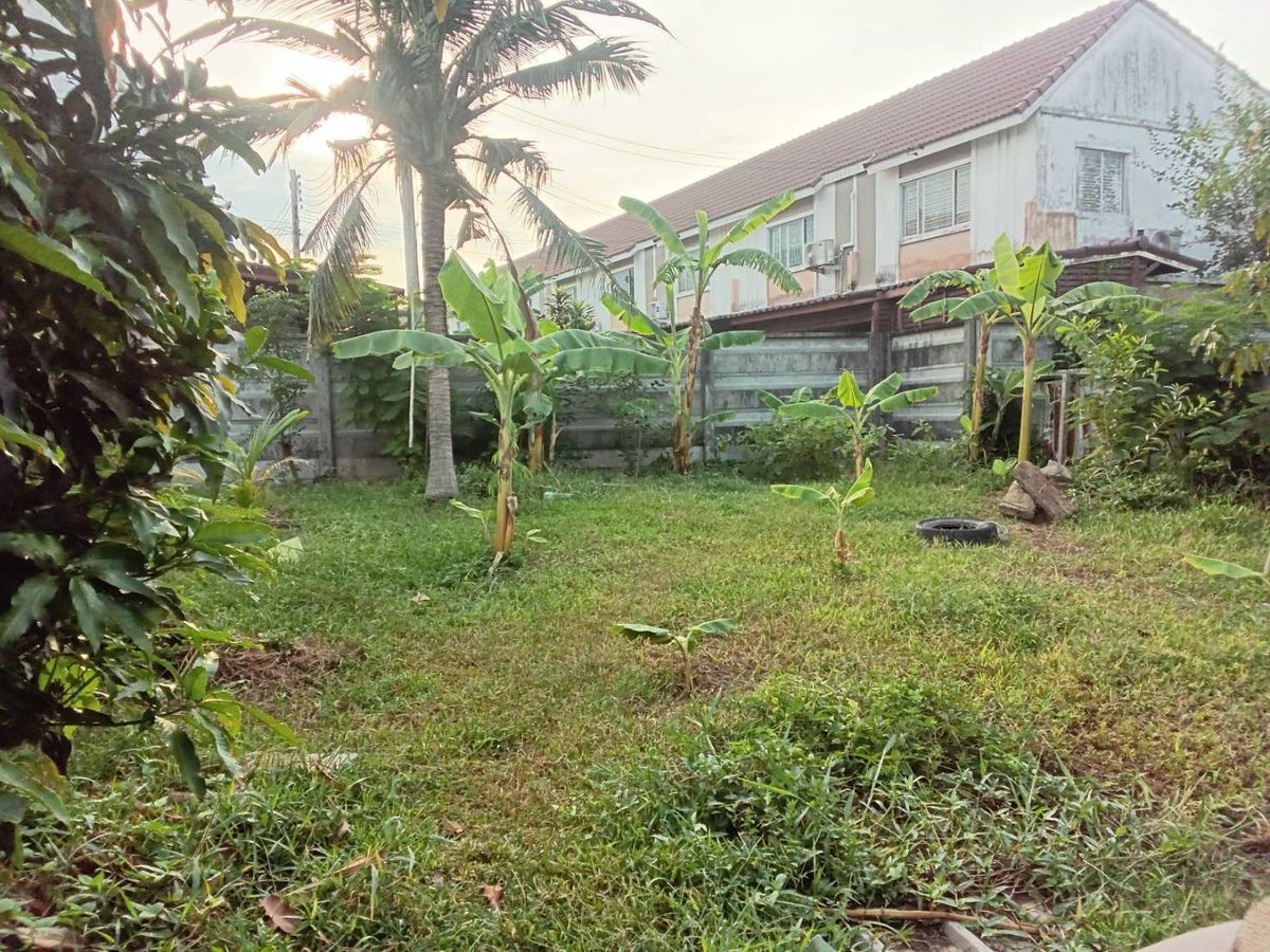 For RentLandNakhon Pathom : Land for rent in Soi Mor Sri Wad Rai Khing