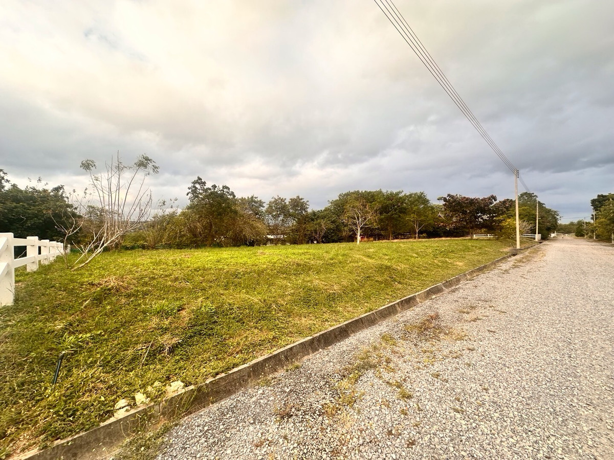 ขายที่ดินปากช่อง เขาใหญ่ : เเบ่งขายไปหลายเเปลง ขายที่ดินเขาใหญ่ สวยสมญานามสวิตเซอร์เเลนด์เมืองไทย เเปลงอยู่บนเนินเห็นภูเขายาวจากซ้ายจรดขวา ที่ดินสูงจากระดับน้ำทะเลประมาณ 370 เมตร อยู่ในโครงการปลอดภัย น้ำไฟถนนเเละสาธารณูปโภคครบ