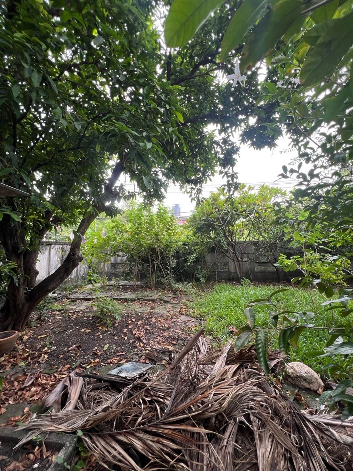 For RentRetail SpaceSukhumvit, Asoke, Thonglor : Rent a detached house, Sukhumvit 49, Thonglor for a long -term renovated business.