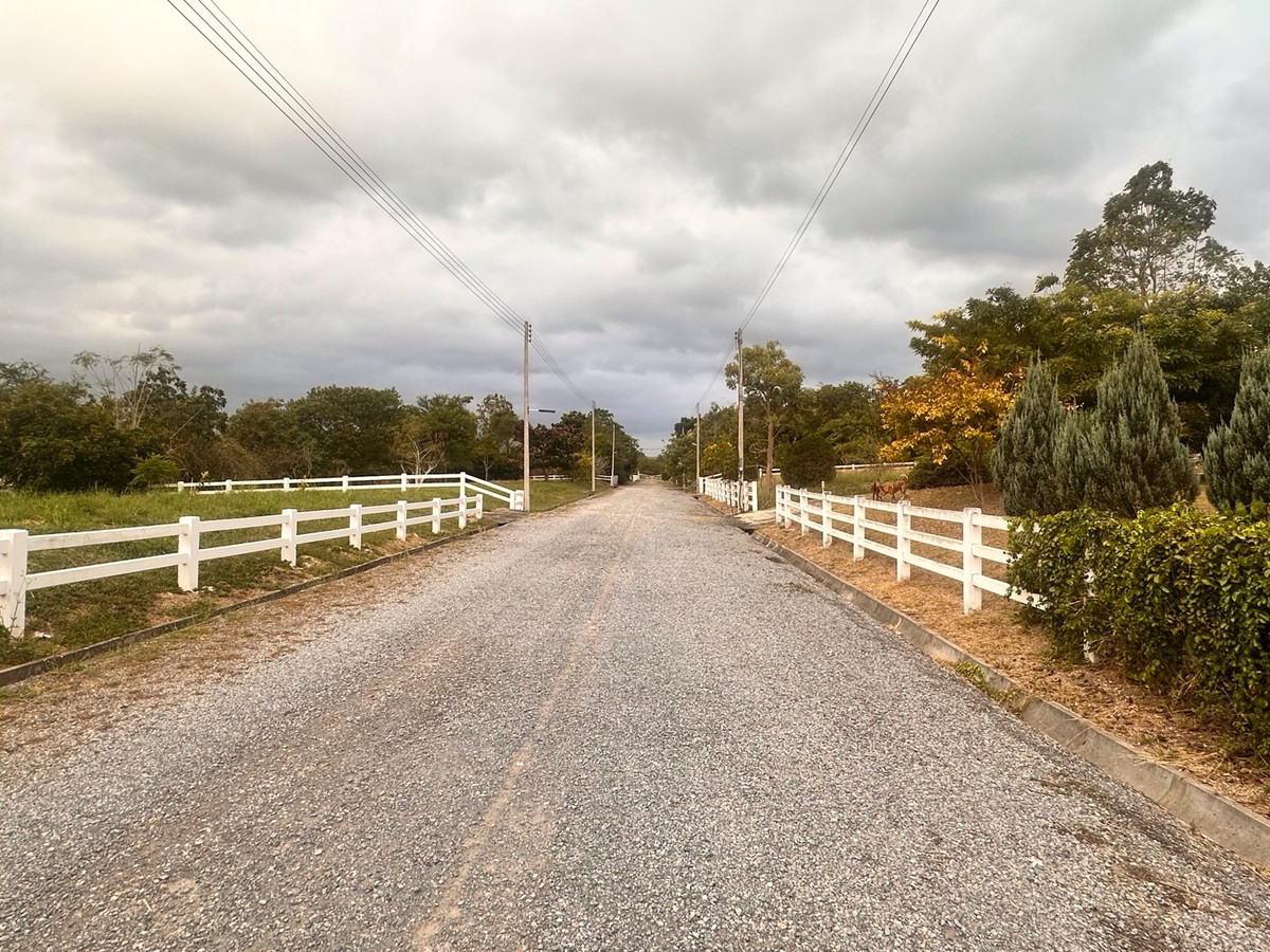 ขายที่ดินปากช่อง เขาใหญ่ : เเบ่งขายไปหลายเเปลง ขายที่ดินเขาใหญ่ สวยสมญานามสวิตเซอร์เเลนด์เมืองไทย เเปลงอยู่บนเนินเห็นภูเขายาวจากซ้ายจรดขวา ที่ดินสูงจากระดับน้ำทะเลประมาณ 370 เมตร อยู่ในโครงการปลอดภัย น้ำไฟถนนเเละสาธารณูปโภคครบ