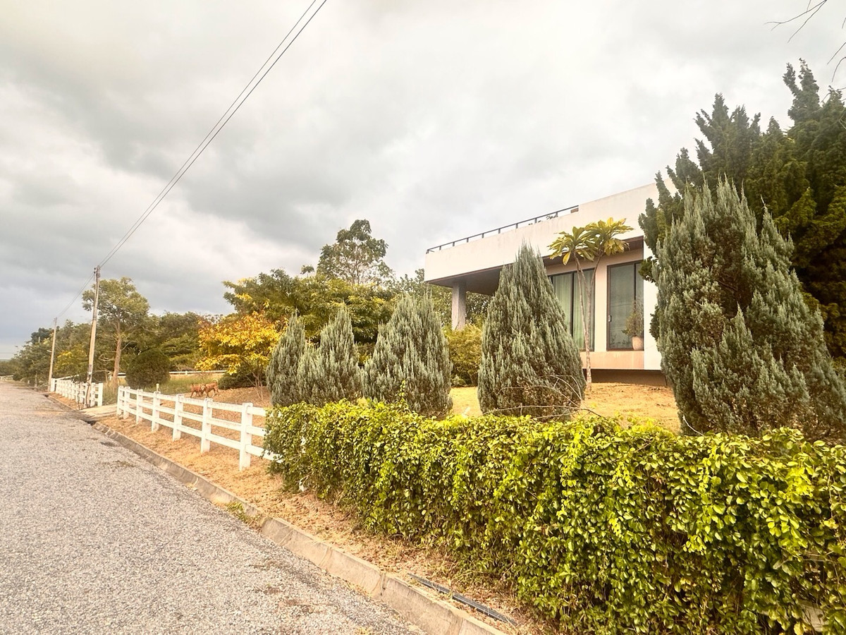 ขายที่ดินปากช่อง เขาใหญ่ : เเบ่งขายไปหลายเเปลง ขายที่ดินเขาใหญ่ สวยสมญานามสวิตเซอร์เเลนด์เมืองไทย เเปลงอยู่บนเนินเห็นภูเขายาวจากซ้ายจรดขวา ที่ดินสูงจากระดับน้ำทะเลประมาณ 370 เมตร อยู่ในโครงการปลอดภัย น้ำไฟถนนเเละสาธารณูปโภคครบ