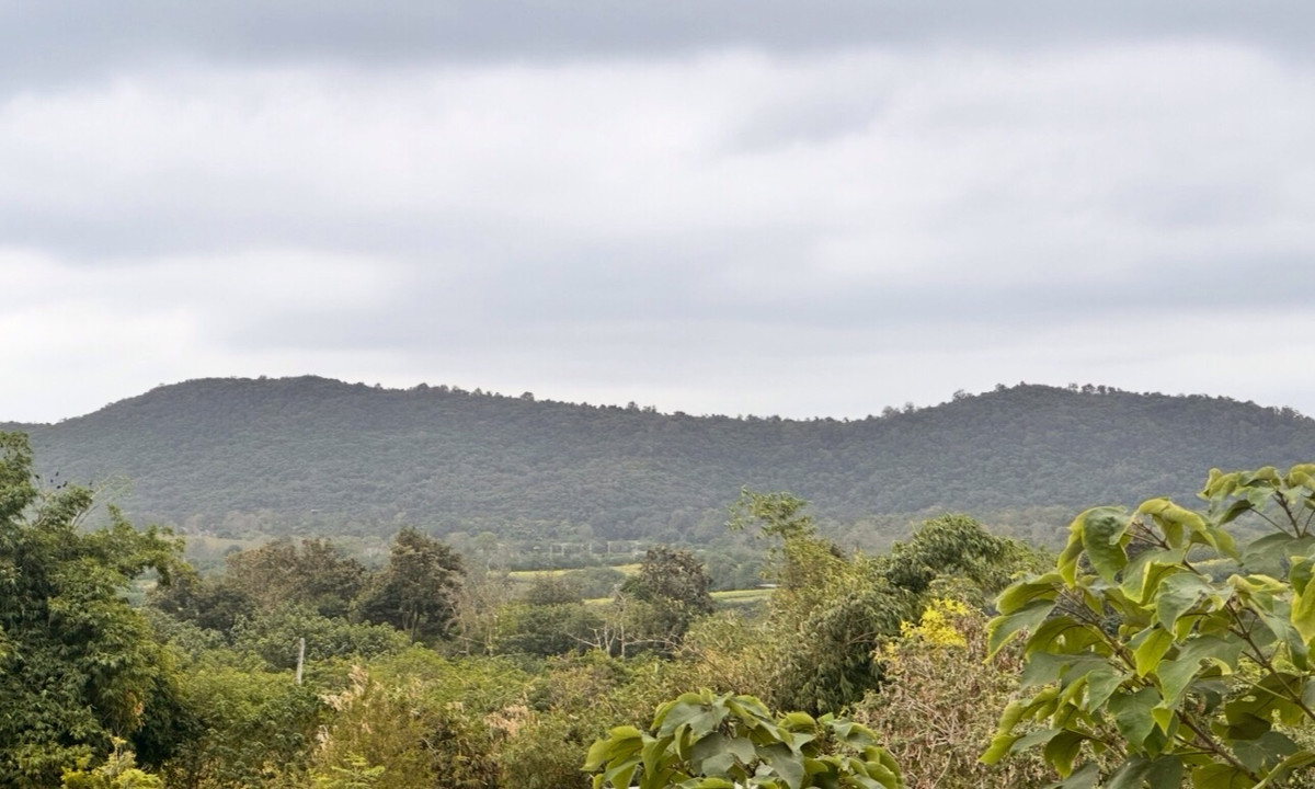 ขายที่ดินปากช่อง เขาใหญ่ : เเบ่งขายไปหลายเเปลง ขายที่ดินเขาใหญ่ สวยสมญานามสวิตเซอร์เเลนด์เมืองไทย เเปลงอยู่บนเนินเห็นภูเขายาวจากซ้ายจรดขวา ที่ดินสูงจากระดับน้ำทะเลประมาณ 370 เมตร อยู่ในโครงการปลอดภัย น้ำไฟถนนเเละสาธารณูปโภคครบ