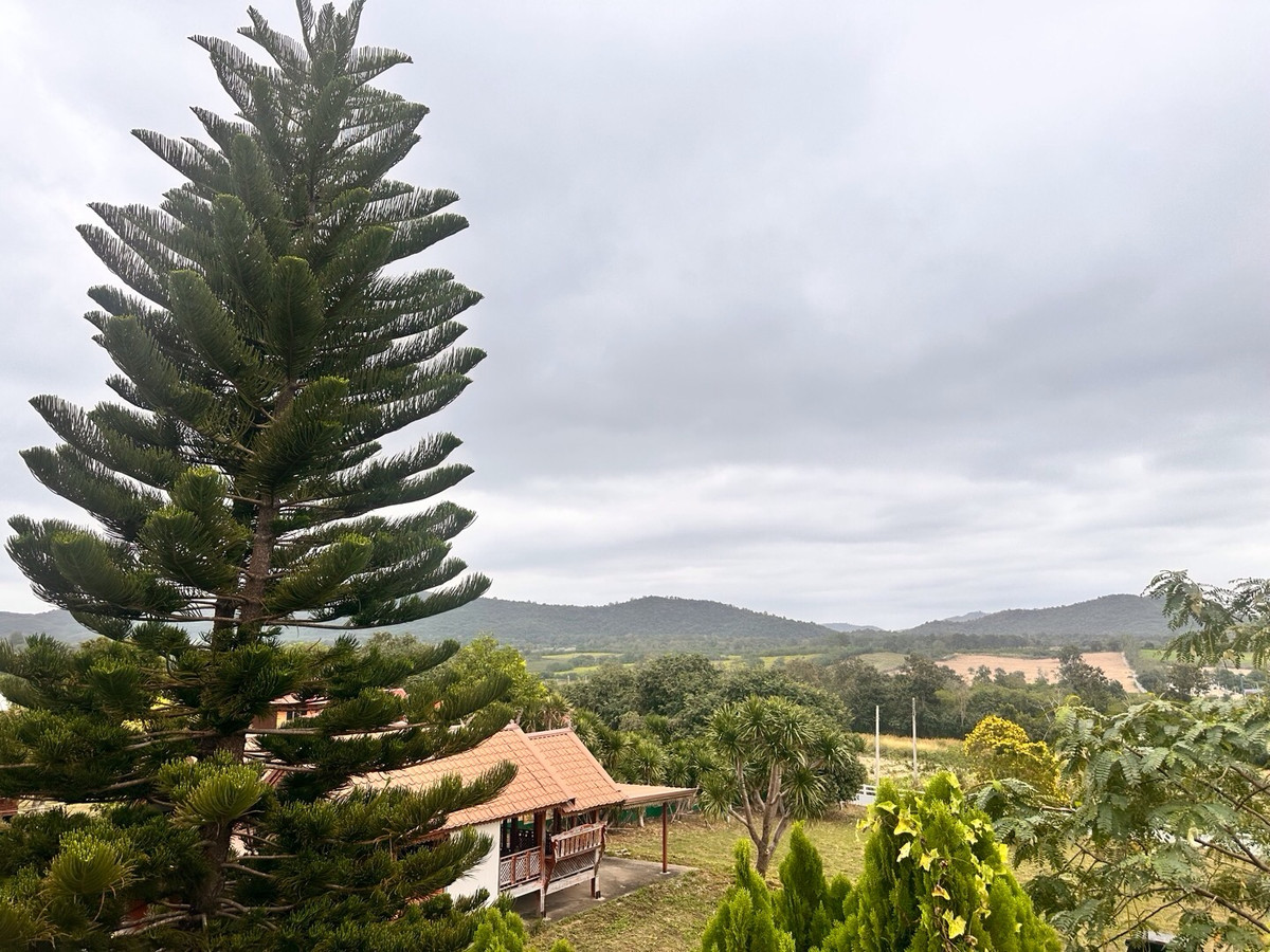 ขายที่ดินปากช่อง เขาใหญ่ : เเบ่งขายไปหลายเเปลง ขายที่ดินเขาใหญ่ สวยสมญานามสวิตเซอร์เเลนด์เมืองไทย เเปลงอยู่บนเนินเห็นภูเขายาวจากซ้ายจรดขวา ที่ดินสูงจากระดับน้ำทะเลประมาณ 370 เมตร อยู่ในโครงการปลอดภัย น้ำไฟถนนเเละสาธารณูปโภคครบ