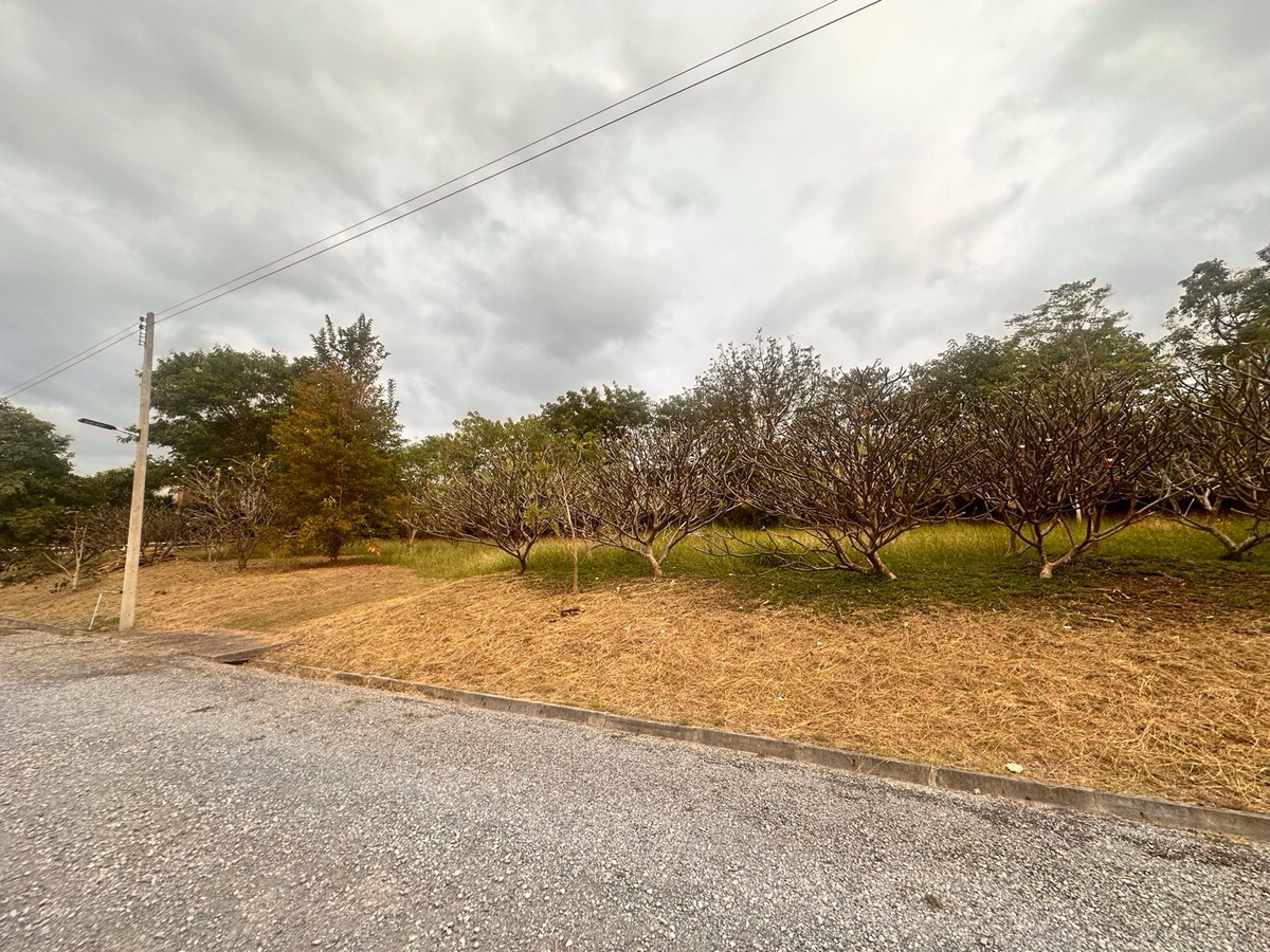 ขายที่ดินปากช่อง เขาใหญ่ : เเบ่งขายไปหลายเเปลง ขายที่ดินเขาใหญ่ สวยสมญานามสวิตเซอร์เเลนด์เมืองไทย เเปลงอยู่บนเนินเห็นภูเขายาวจากซ้ายจรดขวา ที่ดินสูงจากระดับน้ำทะเลประมาณ 370 เมตร อยู่ในโครงการปลอดภัย น้ำไฟถนนเเละสาธารณูปโภคครบ