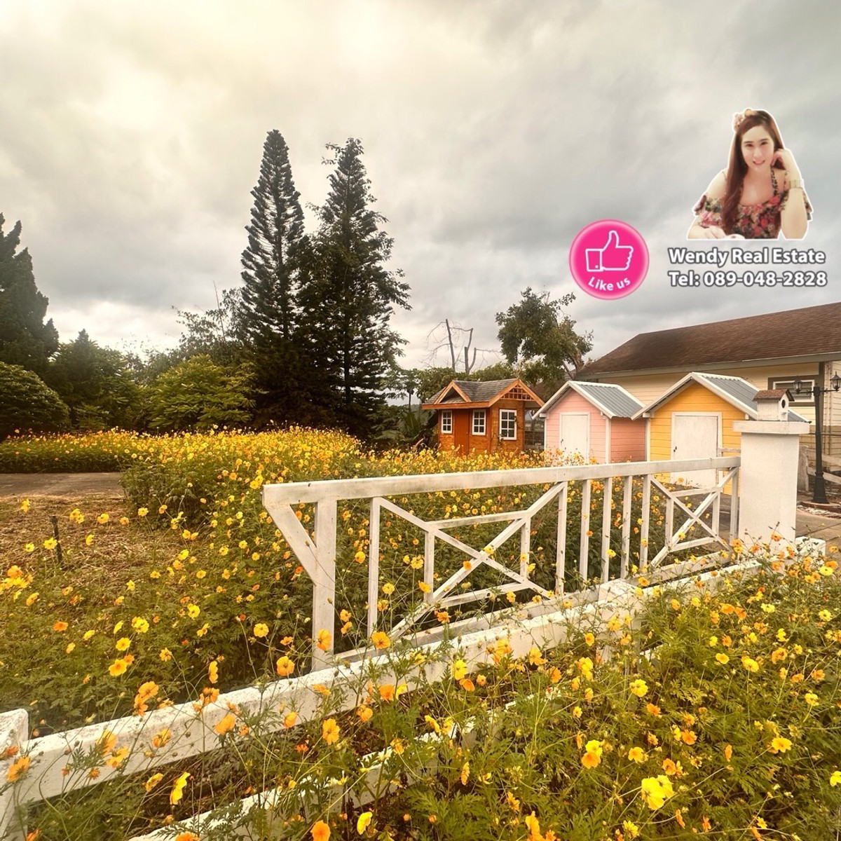 ขายที่ดินปากช่อง เขาใหญ่ : ขายที่ดินเขาใหญ่ สวยสมญานามสวิตเซอร์เเลนด์เมืองไทย เเปลงอยู่บนเนินเห็นภูเขายาวจากซ้ายจรดขวา ที่ดินสูงจากระดับน้ำทะเลประมาณ 370 เมตร อยู่ในโครงการปลอดภัย น้ำไฟถนนเเละสาธารณูปโภคครบ