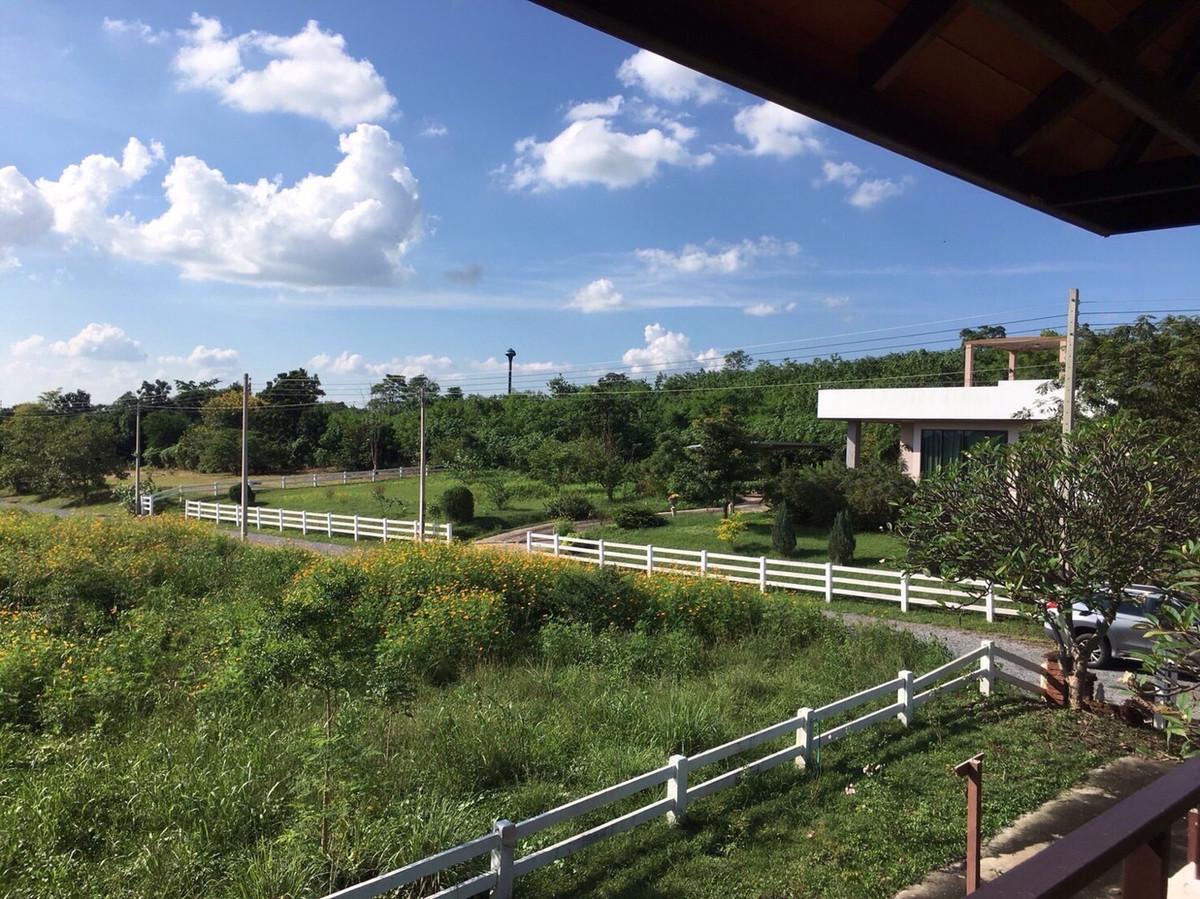 ขายที่ดินปากช่อง เขาใหญ่ : เเบ่งขายไปหลายเเปลง ขายที่ดินเขาใหญ่ สวยสมญานามสวิตเซอร์เเลนด์เมืองไทย เเปลงอยู่บนเนินเห็นภูเขายาวจากซ้ายจรดขวา ที่ดินสูงจากระดับน้ำทะเลประมาณ 370 เมตร อยู่ในโครงการปลอดภัย น้ำไฟถนนเเละสาธารณูปโภคครบ