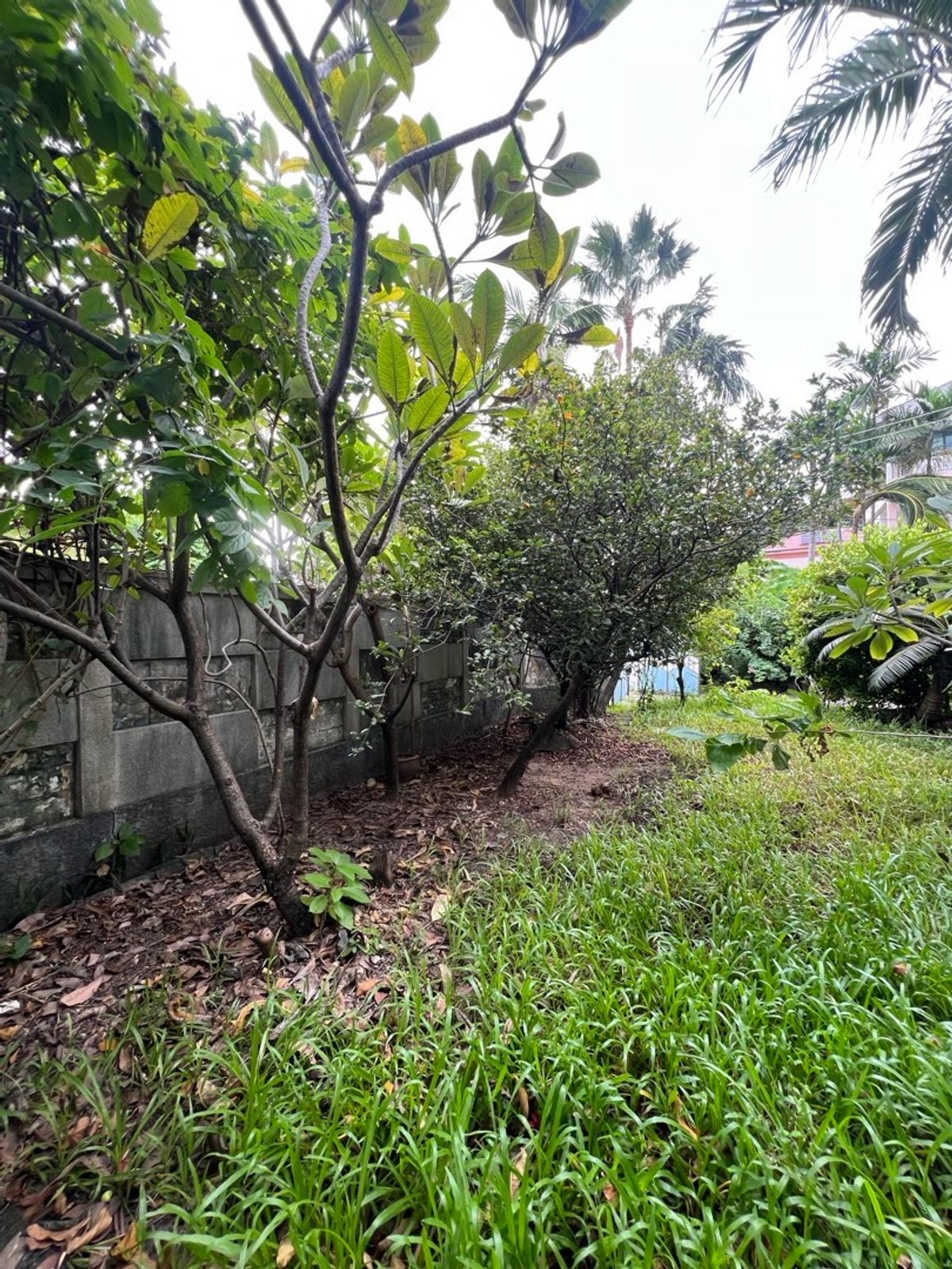 For RentRetail SpaceSukhumvit, Asoke, Thonglor : Rent a detached house, Sukhumvit 49, Thonglor for a long -term renovated business.