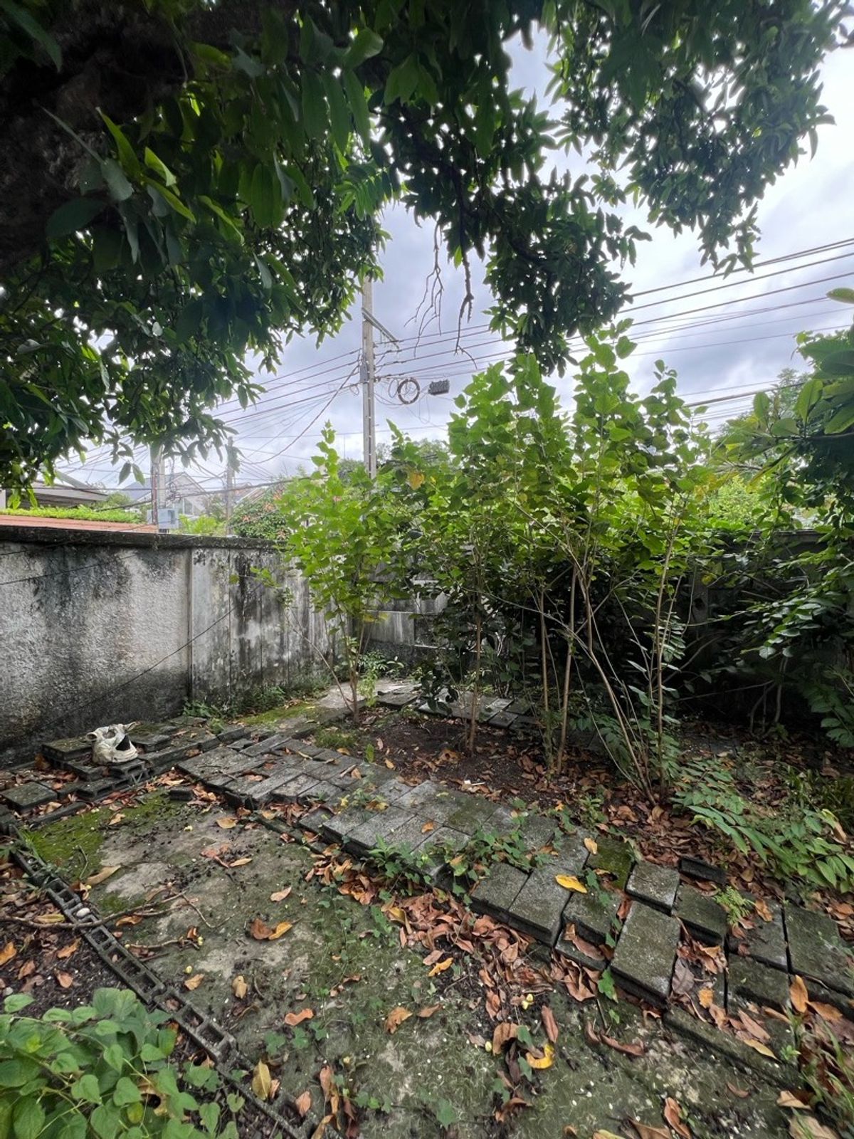 For RentRetail SpaceSukhumvit, Asoke, Thonglor : Rent a detached house, Sukhumvit 49, Thonglor for a long -term renovated business.