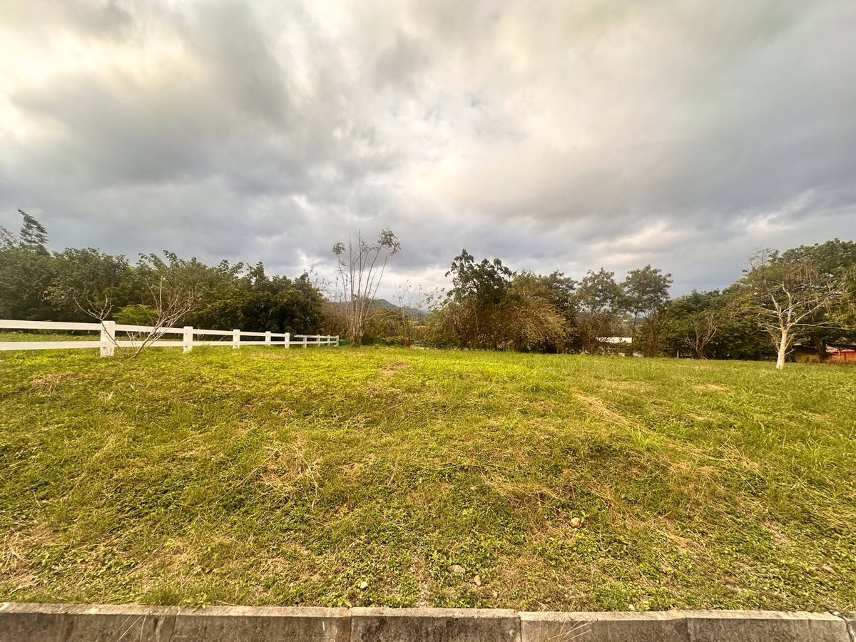 ขายที่ดินปากช่อง เขาใหญ่ : เเบ่งขายไปหลายเเปลง ขายที่ดินเขาใหญ่ สวยสมญานามสวิตเซอร์เเลนด์เมืองไทย เเปลงอยู่บนเนินเห็นภูเขายาวจากซ้ายจรดขวา ที่ดินสูงจากระดับน้ำทะเลประมาณ 370 เมตร อยู่ในโครงการปลอดภัย น้ำไฟถนนเเละสาธารณูปโภคครบ