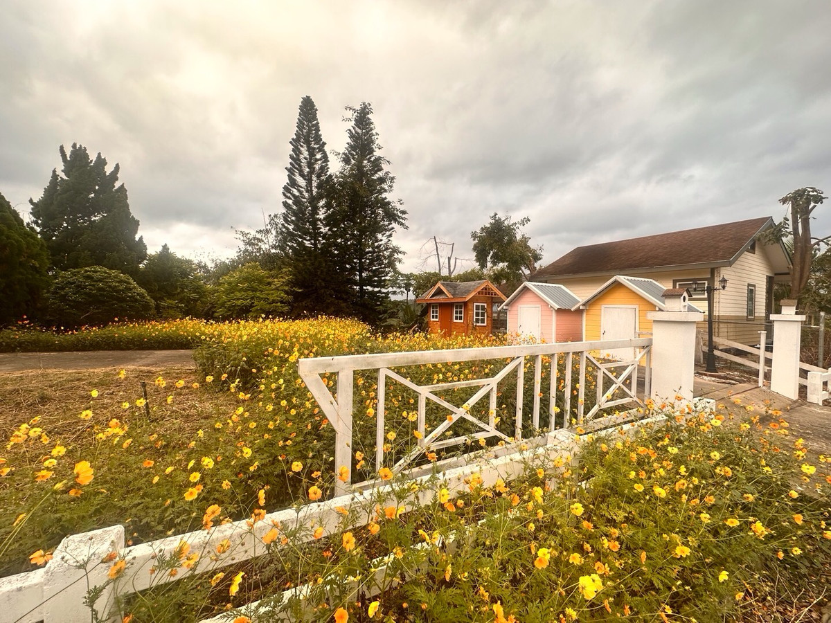 ขายที่ดินปากช่อง เขาใหญ่ : เเบ่งขายไปหลายเเปลง ขายที่ดินเขาใหญ่ สวยสมญานามสวิตเซอร์เเลนด์เมืองไทย เเปลงอยู่บนเนินเห็นภูเขายาวจากซ้ายจรดขวา ที่ดินสูงจากระดับน้ำทะเลประมาณ 370 เมตร อยู่ในโครงการปลอดภัย น้ำไฟถนนเเละสาธารณูปโภคครบ