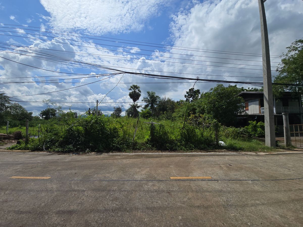 ขายที่ดินชะอำ เพชรบุรี : ขายด่วน ที่ดินถมแล้ว 100 ตรว.ราคาดีที่สุดในชะอำ ใกล้ทะเล  เพชรบุรี