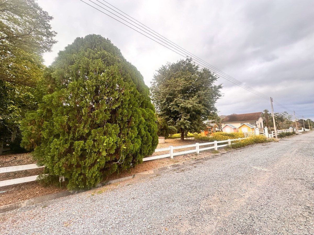 ขายที่ดินปากช่อง เขาใหญ่ : เเบ่งขายไปหลายเเปลง ขายที่ดินเขาใหญ่ สวยสมญานามสวิตเซอร์เเลนด์เมืองไทย เเปลงอยู่บนเนินเห็นภูเขายาวจากซ้ายจรดขวา ที่ดินสูงจากระดับน้ำทะเลประมาณ 370 เมตร อยู่ในโครงการปลอดภัย น้ำไฟถนนเเละสาธารณูปโภคครบ