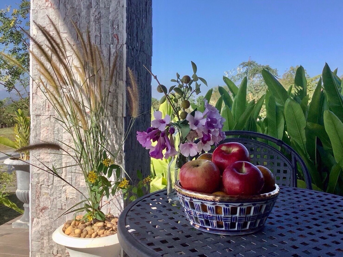 ขายที่ดินปากช่อง เขาใหญ่ : เเบ่งขายไปหลายเเปลง ขายที่ดินเขาใหญ่ สวยสมญานามสวิตเซอร์เเลนด์เมืองไทย เเปลงอยู่บนเนินเห็นภูเขายาวจากซ้ายจรดขวา ที่ดินสูงจากระดับน้ำทะเลประมาณ 370 เมตร อยู่ในโครงการปลอดภัย น้ำไฟถนนเเละสาธารณูปโภคครบ