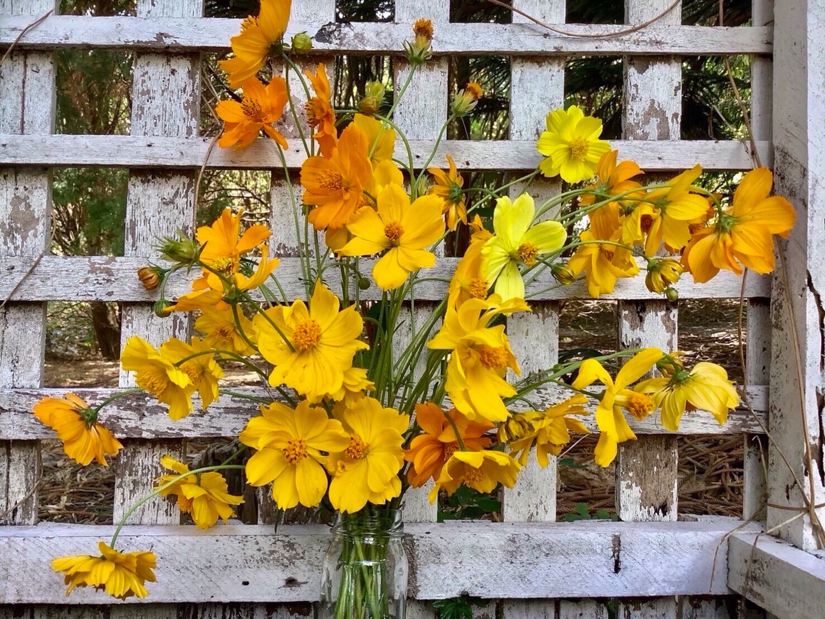 ขายที่ดินปากช่อง เขาใหญ่ : เเบ่งขายไปหลายเเปลง ขายที่ดินเขาใหญ่ สวยสมญานามสวิตเซอร์เเลนด์เมืองไทย เเปลงอยู่บนเนินเห็นภูเขายาวจากซ้ายจรดขวา ที่ดินสูงจากระดับน้ำทะเลประมาณ 370 เมตร อยู่ในโครงการปลอดภัย น้ำไฟถนนเเละสาธารณูปโภคครบ