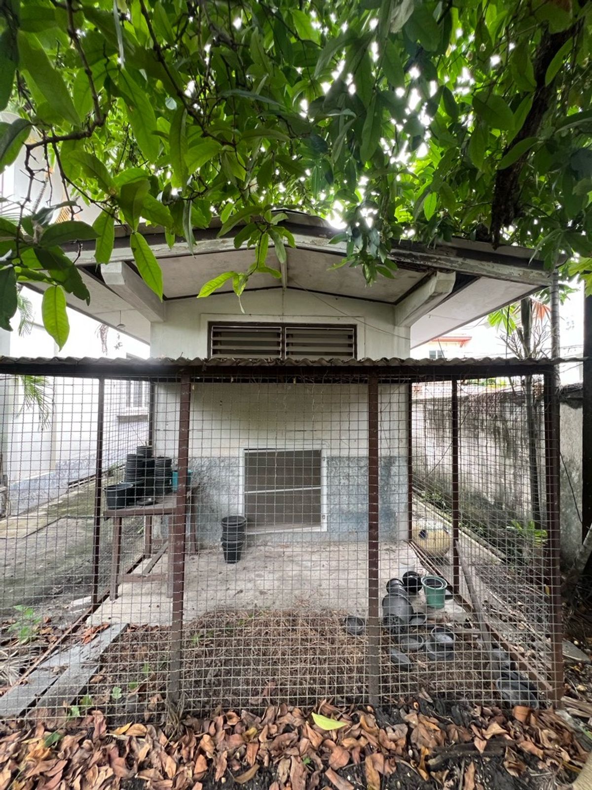 For RentRetail SpaceSukhumvit, Asoke, Thonglor : Rent a detached house, Sukhumvit 49, Thonglor for a long -term renovated business.