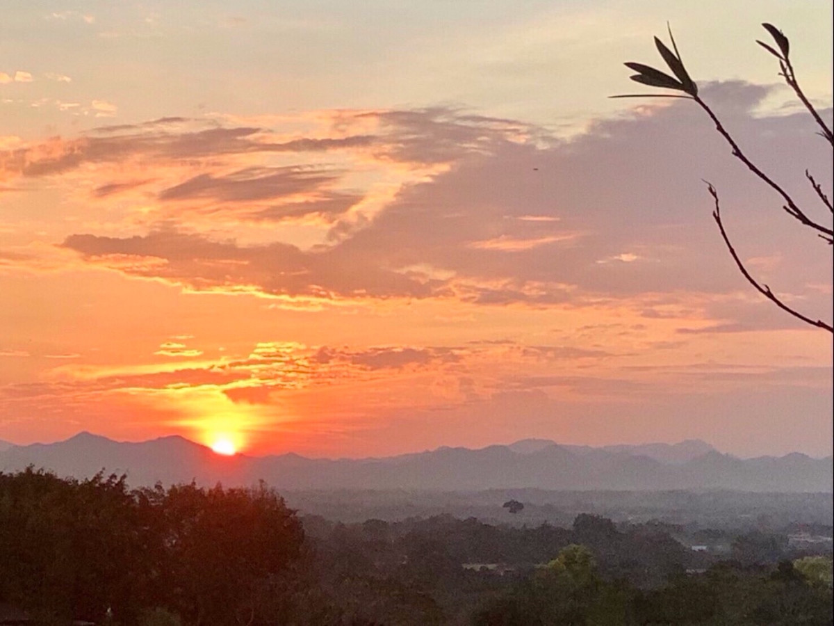 ขายที่ดินปากช่อง เขาใหญ่ : เเบ่งขายไปหลายเเปลง ขายที่ดินเขาใหญ่ สวยสมญานามสวิตเซอร์เเลนด์เมืองไทย เเปลงอยู่บนเนินเห็นภูเขายาวจากซ้ายจรดขวา ที่ดินสูงจากระดับน้ำทะเลประมาณ 370 เมตร อยู่ในโครงการปลอดภัย น้ำไฟถนนเเละสาธารณูปโภคครบ