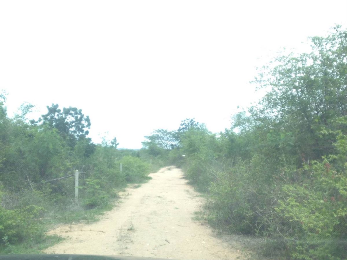 For SaleLandCha-am Phetchaburi : 🌴 Exclusive Land for Sale in Cha-Am – Ideal for Vacation Homes or Pool Villas! 🌴