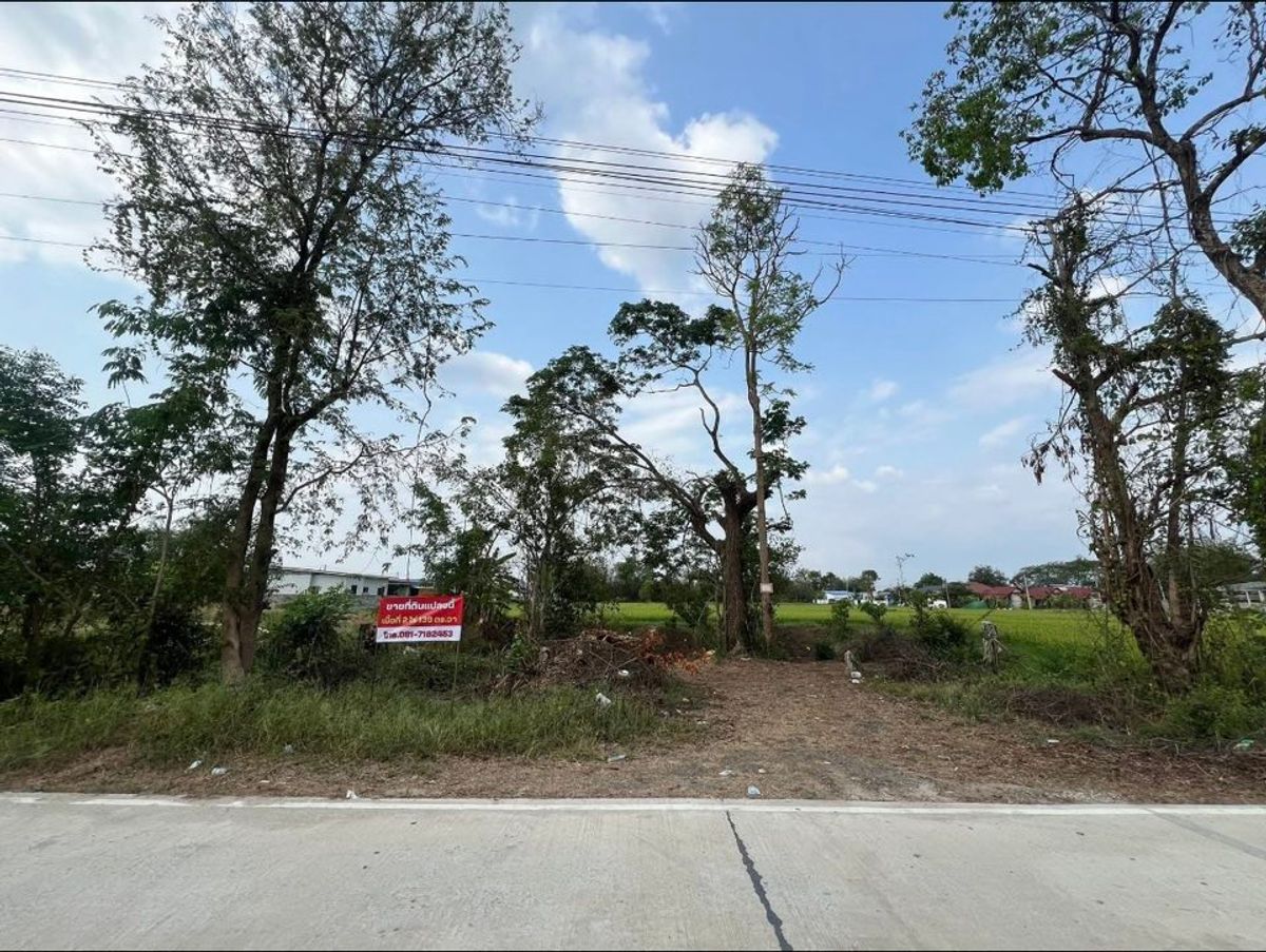 ขายที่ดินเชียงใหม่ : ขายที่ดิน ดอยสะเก็ด บรรยากาศดี ติดถนนคอนกรีต ใกล้ถนนสายใหม่ เนื้อที่ 2 ไร่ 139 ตร.วา อ.ดอยสะเก็ด จ.เชียงใหม่