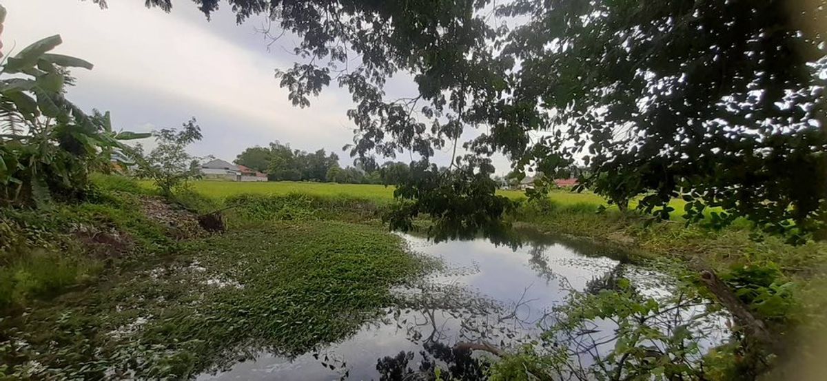 ขายที่ดินเชียงใหม่ : ขายที่ดิน ดอยสะเก็ด บรรยากาศดี ติดถนนคอนกรีต ใกล้ถนนสายใหม่ เนื้อที่ 2 ไร่ 139 ตร.วา อ.ดอยสะเก็ด จ.เชียงใหม่