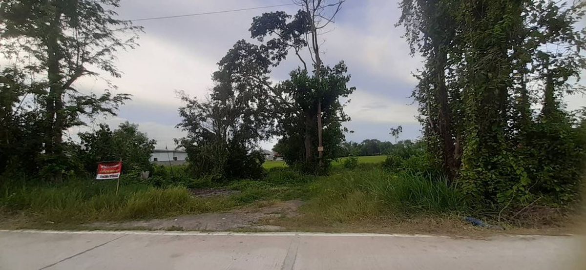 ขายที่ดินเชียงใหม่ : ขายที่ดิน ดอยสะเก็ด บรรยากาศดี ติดถนนคอนกรีต ใกล้ถนนสายใหม่ เนื้อที่ 2 ไร่ 139 ตร.วา อ.ดอยสะเก็ด จ.เชียงใหม่