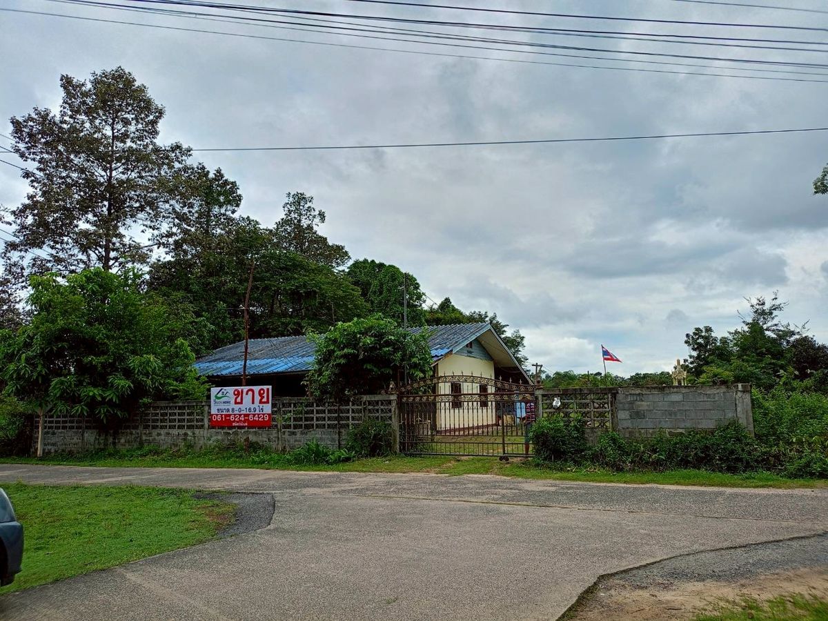 ขายที่ดินอุบลราชธานี : ขายที่ดินสวยๆ ติดถนน แปลงใหญ่ 8 ไร่กว่า (แบ่งขายได้)  ใน จ.อุบลราชธานี (N.1844)