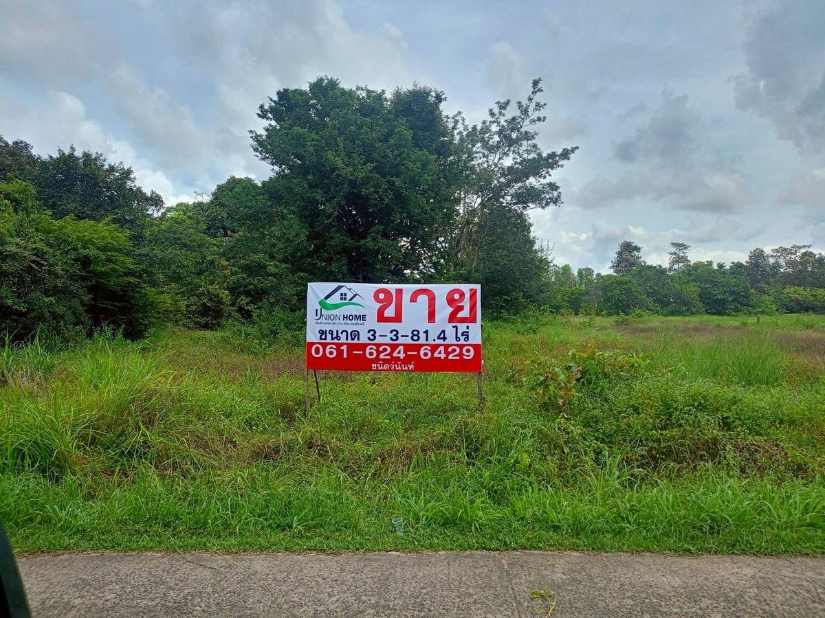 ขายที่ดินอุบลราชธานี : ขายที่ดินเปล่าแปลงสวย ขนาด 3-3-81.4 ไร่ (แบ่งขายได้) ในตำบลขี้เหล็ก อ.เมืองอุบลฯ พร้อมพัฒนาได้ทุกอย่าง (N.1843)