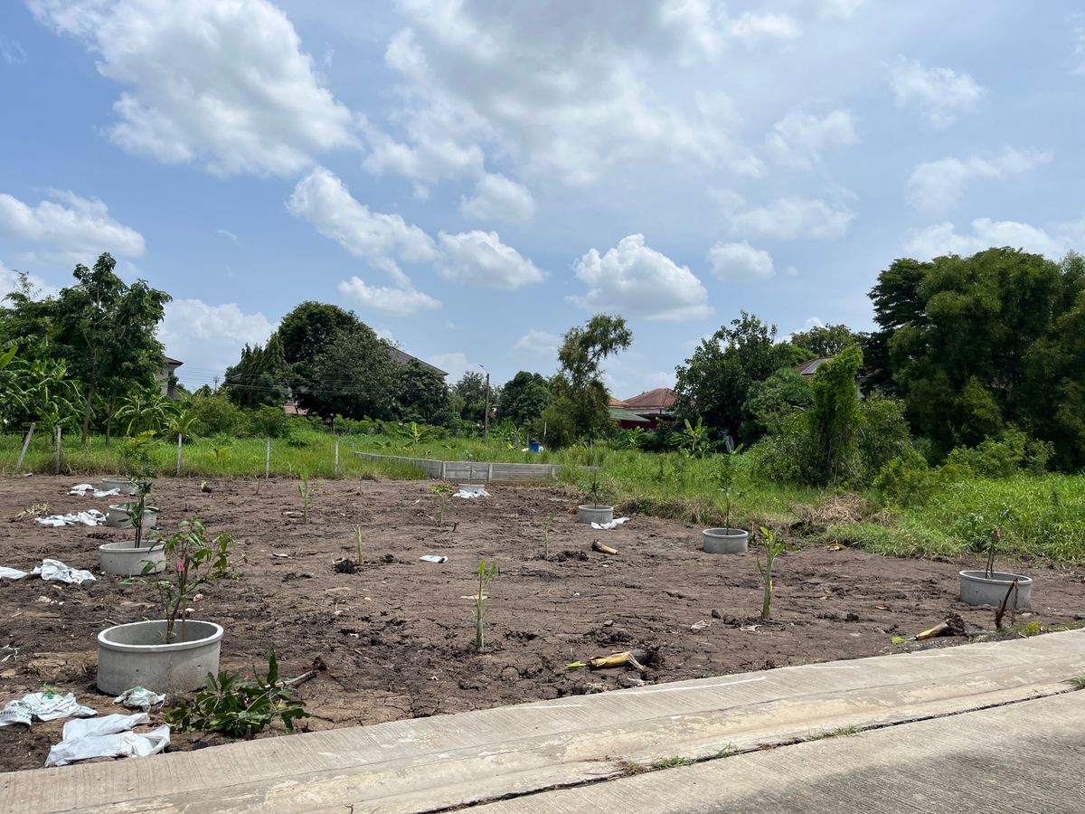 ขายที่ดินวิภาวดี ดอนเมือง หลักสี่ : ที่ดินเปล่า 105 ตร.ว. เทิดราชัน 27 / (ขาย), Vacant land 105 sq.wah Thoet Rachan 27 / (FOR SALE) TPM016