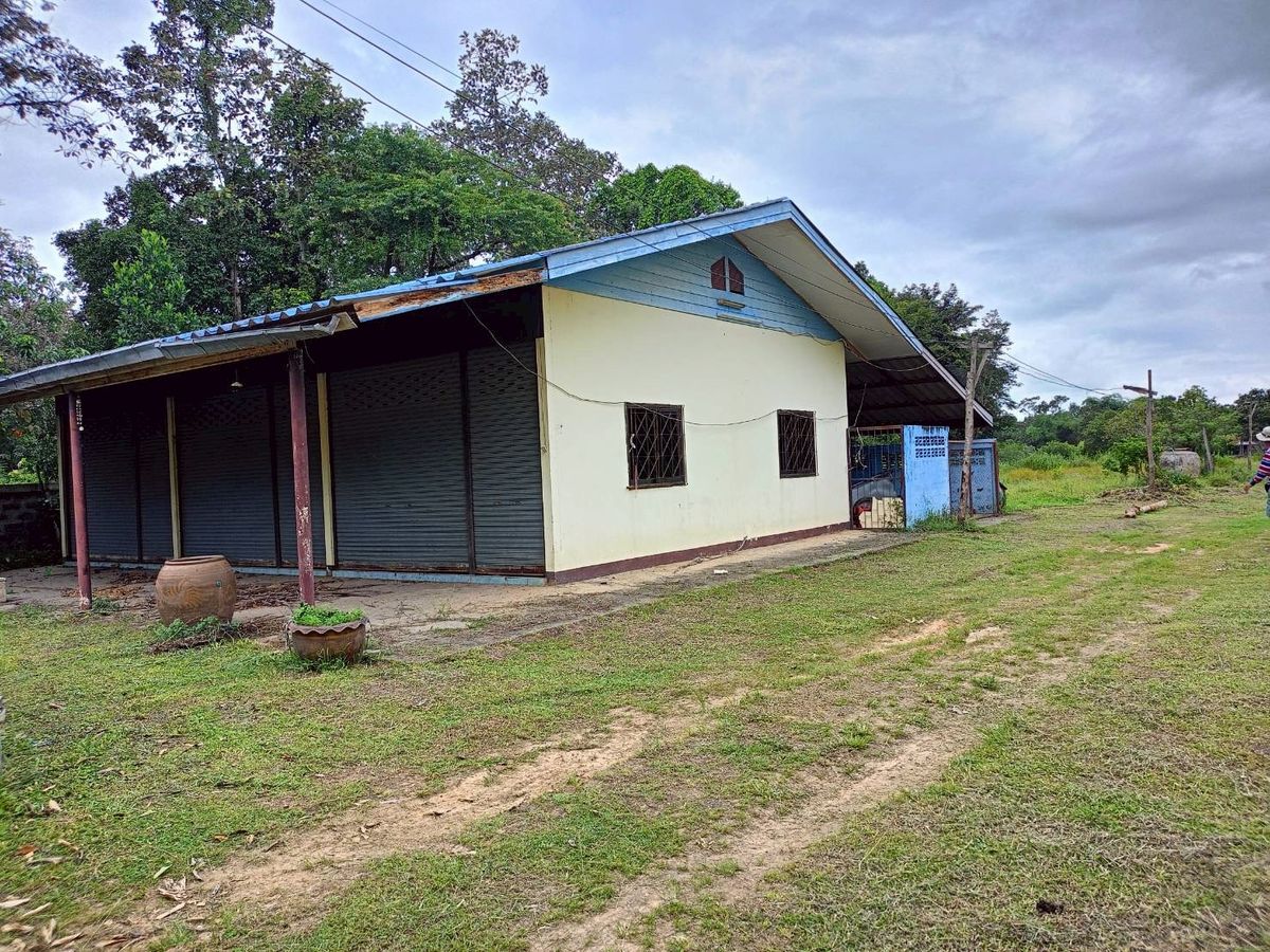 ขายที่ดินอุบลราชธานี : ขายที่ดินสวยๆ ติดถนน แปลงใหญ่ 8 ไร่กว่า (แบ่งขายได้)  ใน จ.อุบลราชธานี (N.1844)