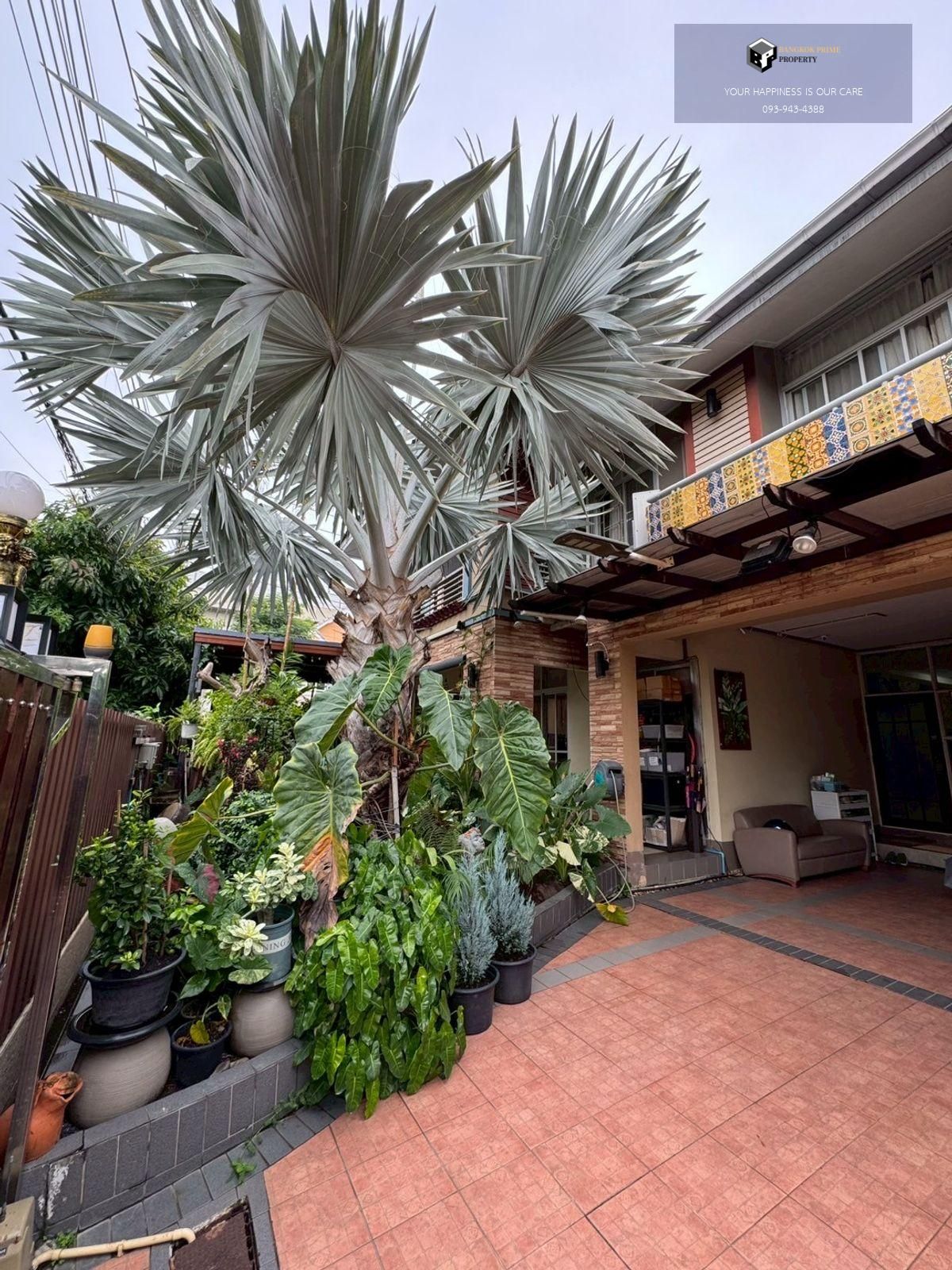 For SaleHousePathum Thani,Rangsit, Thammasat : Homeplace Rangsit | 2 -storey detached house and 2 offices in front of the house