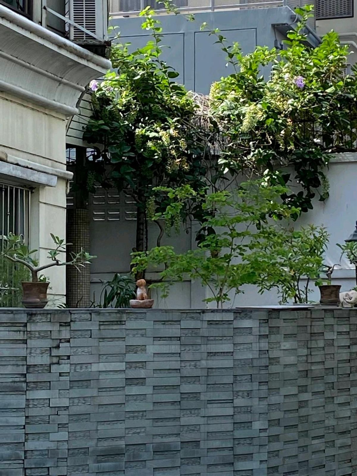 For SaleTownhomeSathorn, Narathiwat : sell!!! Baan Klang Krung Sathorn, Nuea-South Road, BTS Surasak, 5 car parks