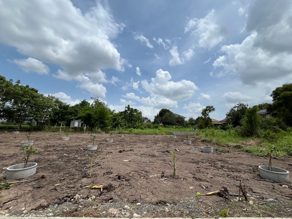 ขายที่ดินวิภาวดี ดอนเมือง หลักสี่ : ที่ดินเปล่า 105 ตร.ว. เทิดราชัน 27 / (ขาย), Vacant land 105 sq.wah Thoet Rachan 27 / (FOR SALE) TPM016