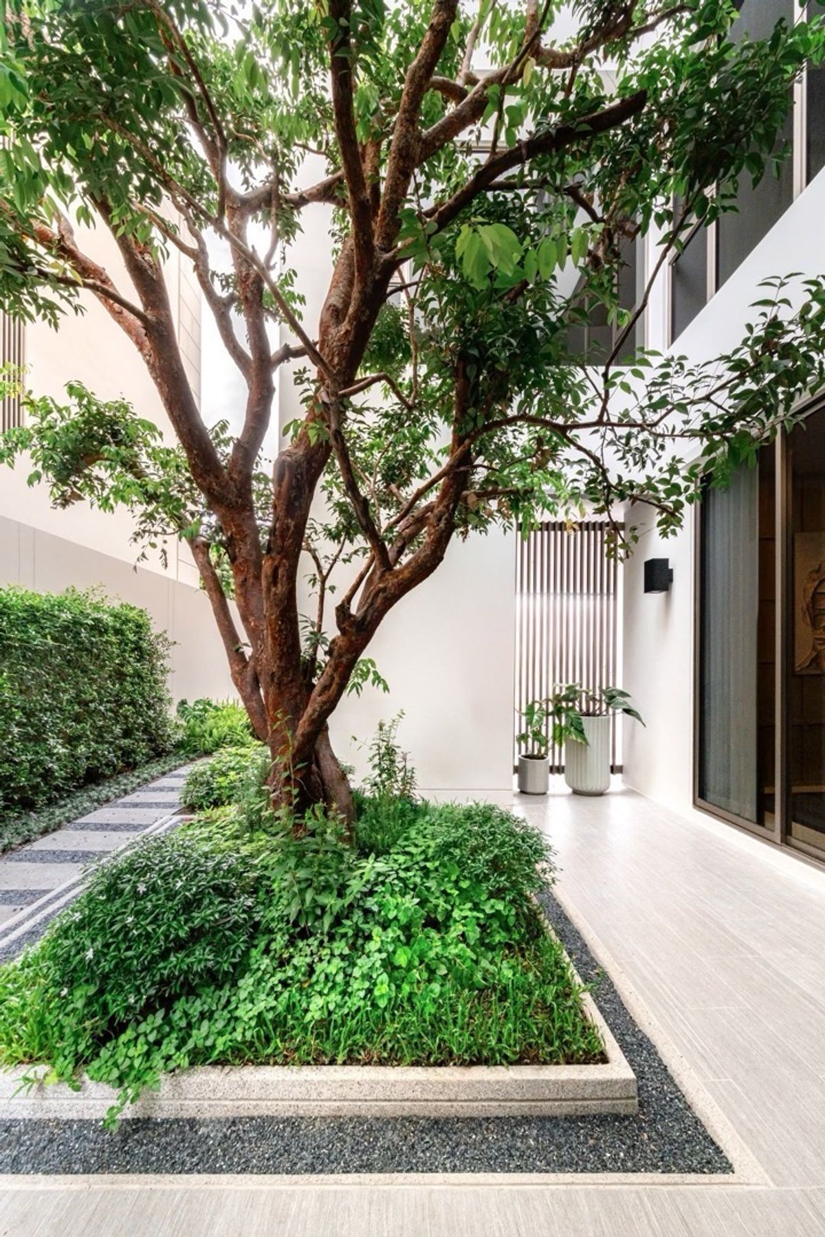 ขายบ้านเกษตร นวมินทร์ ลาดปลาเค้า : บ้านเดี่ยวหรู 3 ชั้น สไตล์ Modern Luxury พร้อมสระว่ายน้ำ และลิฟต์ในตัว  ทำเลดี เดินทางสะดวก  ความเป็นส่วนตัวสูง ย่านเกษตร - นวมินทร์ - รามอินทรา  ติดต่อ 086-795-9997 (จิมมี่)