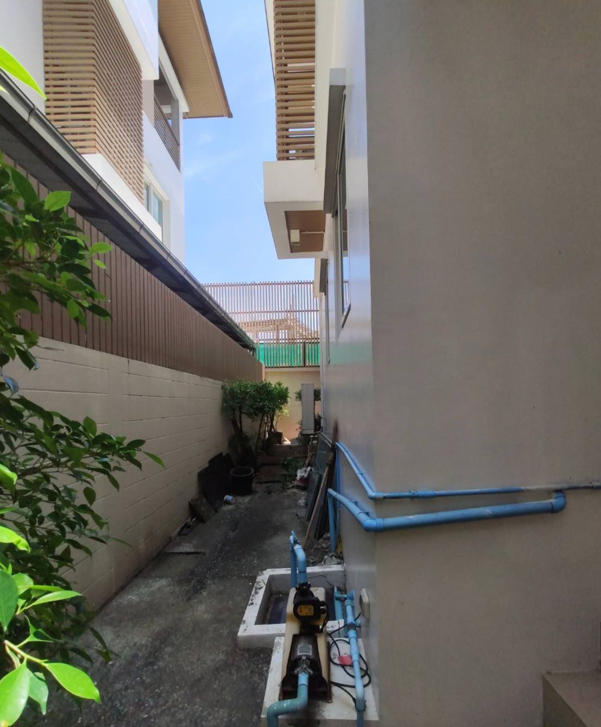 For SaleHouseNawamin, Ramindra : The Primari Press, Ratchada - Ram Inthra / 4 Bedrooms (Sale), The Primary Prestige Ratchada - Ramintra / Details 4 Bedrooms (For Sale) TPM019