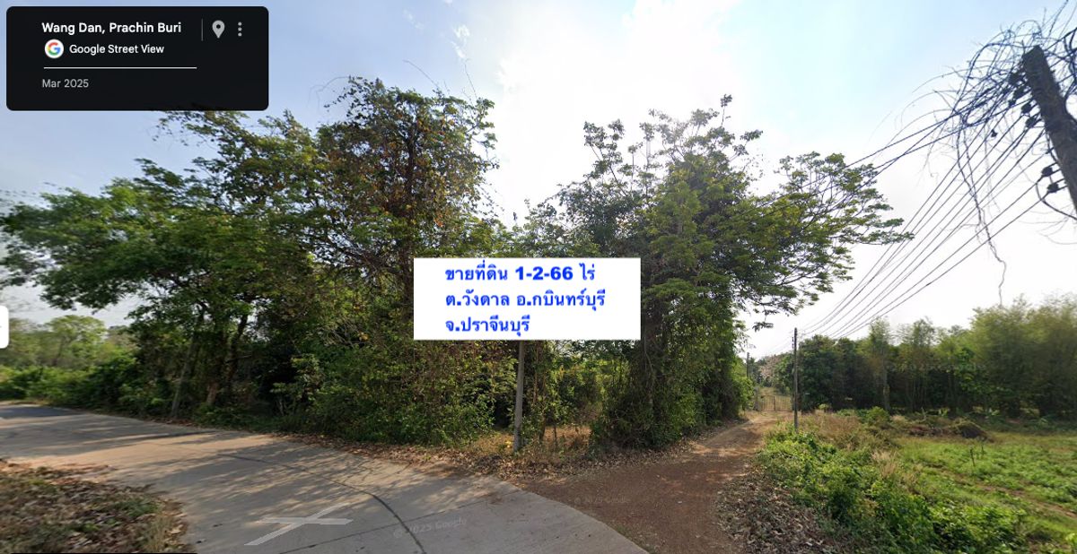ขายที่ดินปราจีนบุรี : ขายที่ดินวังดาล อ.กบินทร์บุรี จ.ปราจีนบุรี 1-2-66 ไร่ (666 ตารางวา) [FAS2508117]