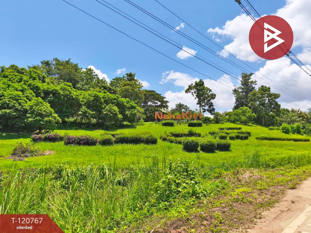 ขายที่ดินกาญจนบุรี : ขายที่ดิน เนื้อที่ 11 ไร่ 1 งาน 49 ตร.วา ทองผาภูมิ กาญจนบุรี