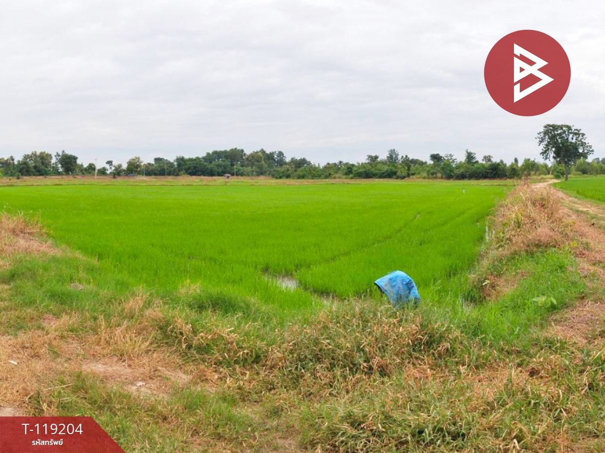 ขายที่ดินพิจิตร : ขายที่ดิน เนื้อที่ 29 ไร่ 91 ตร.วา ดงเจริญ พิจิตร