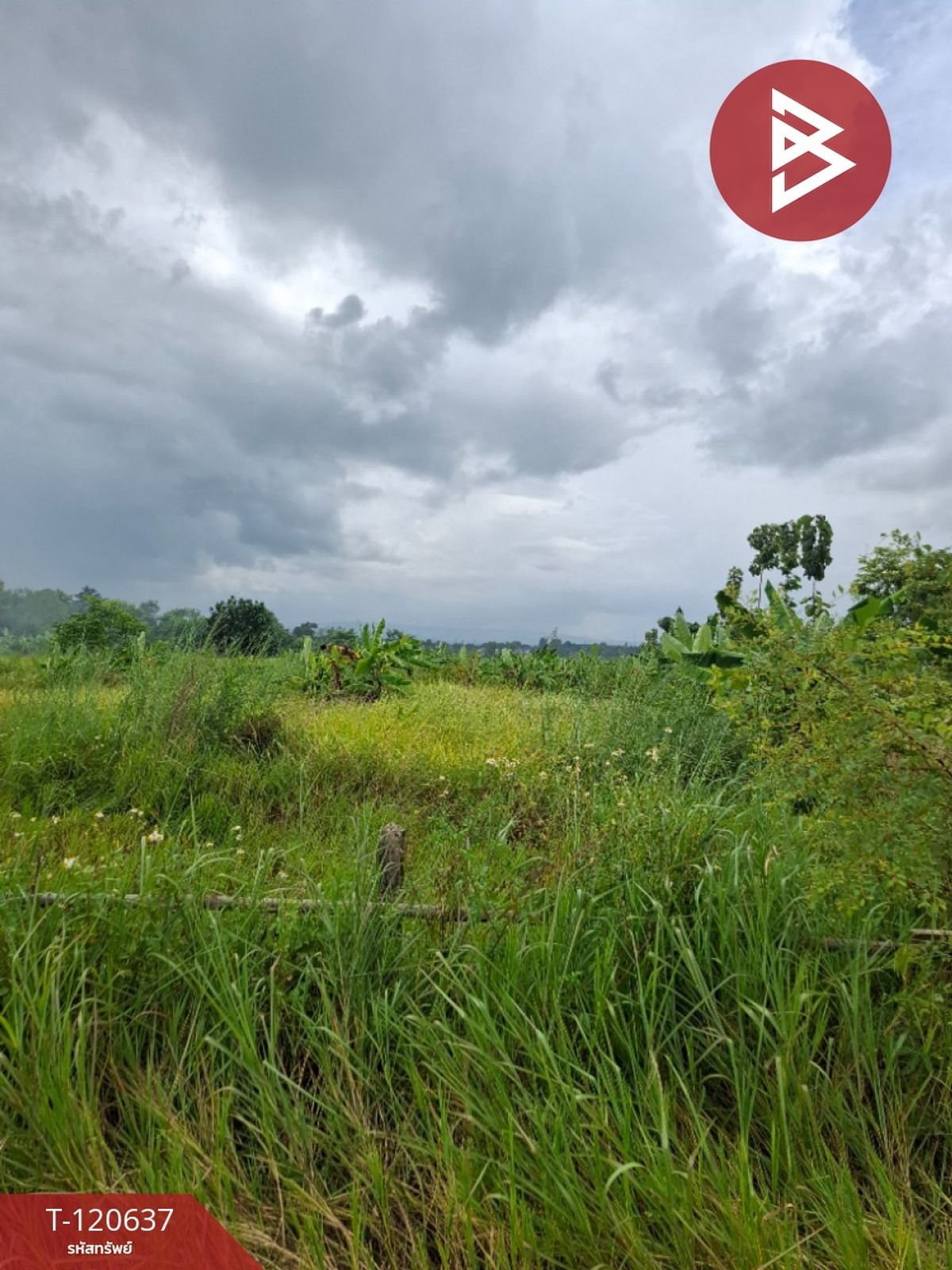 For SaleLandChiang Rai : Land for sale in an area of ​​2 rai 1 ngan 20 sq.w., Chiang Rai