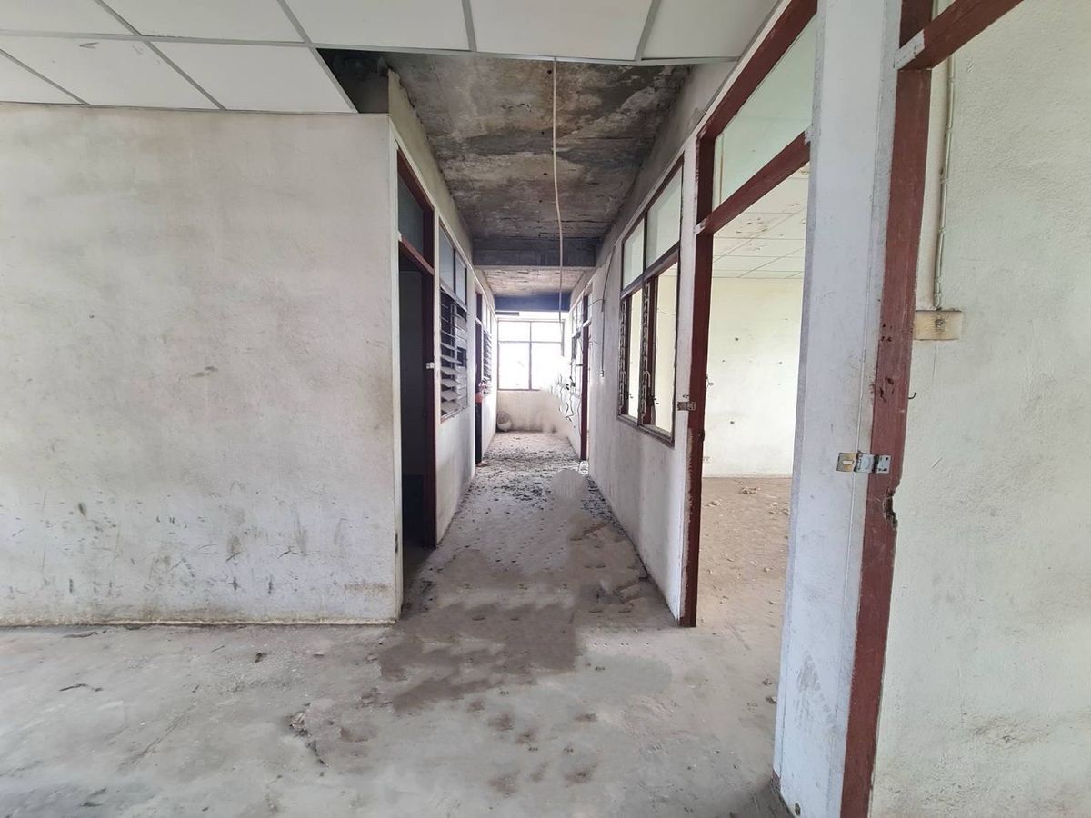 ขายโรงงานมหาชัย สมุทรสาคร : ขายโรงงาน 2 หลัง พร้อมสำนักงาน 3 ชั้น เนื้อที่ 2-3-82 ไร่ ซ.สุขาภิบาล 2 ถ.พุทธมณฑลสาย 4 ต.อ้อมน้อย อ.กระทุ่มแบน จ.สมุทรสาคร