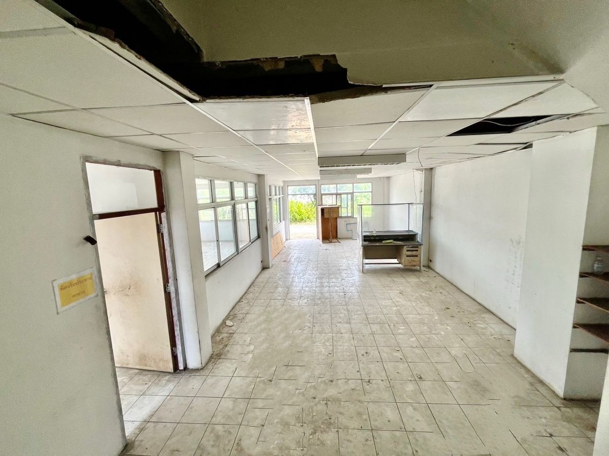 ขายโรงงานมหาชัย สมุทรสาคร : ขายโรงงาน 2 หลัง พร้อมสำนักงาน 3 ชั้น เนื้อที่ 2-3-82 ไร่ ซ.สุขาภิบาล 2 ถ.พุทธมณฑลสาย 4 ต.อ้อมน้อย อ.กระทุ่มแบน จ.สมุทรสาคร