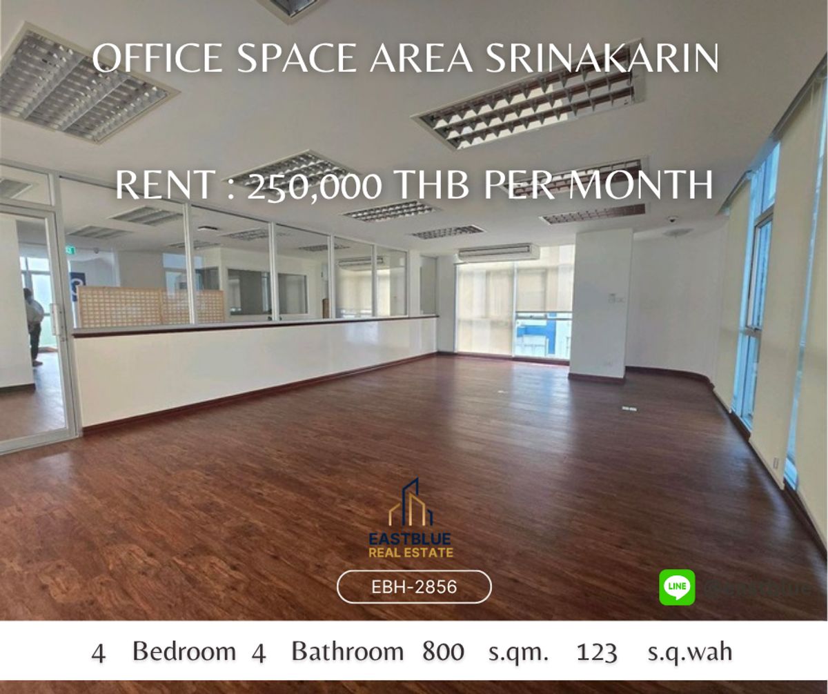 ให้เช่าสำนักงานพัฒนาการ ศรีนครินทร์ : ให้เช่า -  Office Space Area Srinakarin พร้อม ลิฟท์ ศรีนครินทร์ 40 (ฝั่งตรงข้ามซีคอนสแควร์) พื้นที่ทั้งหมดมากกว่า1,000 ตารางเมตร