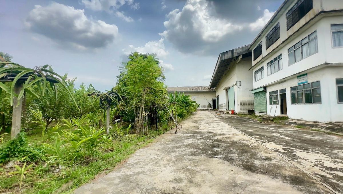 ขายโรงงานมหาชัย สมุทรสาคร : ขายโรงงาน 2 หลัง พร้อมสำนักงาน 3 ชั้น เนื้อที่ 2-3-82 ไร่ ซ.สุขาภิบาล 2 ถ.พุทธมณฑลสาย 4 ต.อ้อมน้อย อ.กระทุ่มแบน จ.สมุทรสาคร