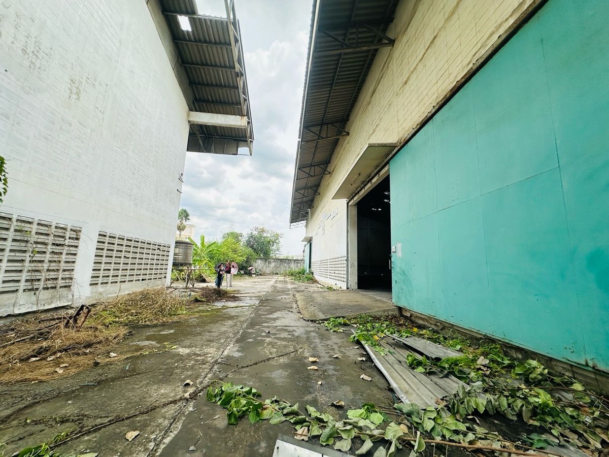 ขายโรงงานมหาชัย สมุทรสาคร : ขายโรงงาน 2 หลัง พร้อมสำนักงาน 3 ชั้น เนื้อที่ 2-3-82 ไร่ ซ.สุขาภิบาล 2 ถ.พุทธมณฑลสาย 4 ต.อ้อมน้อย อ.กระทุ่มแบน จ.สมุทรสาคร