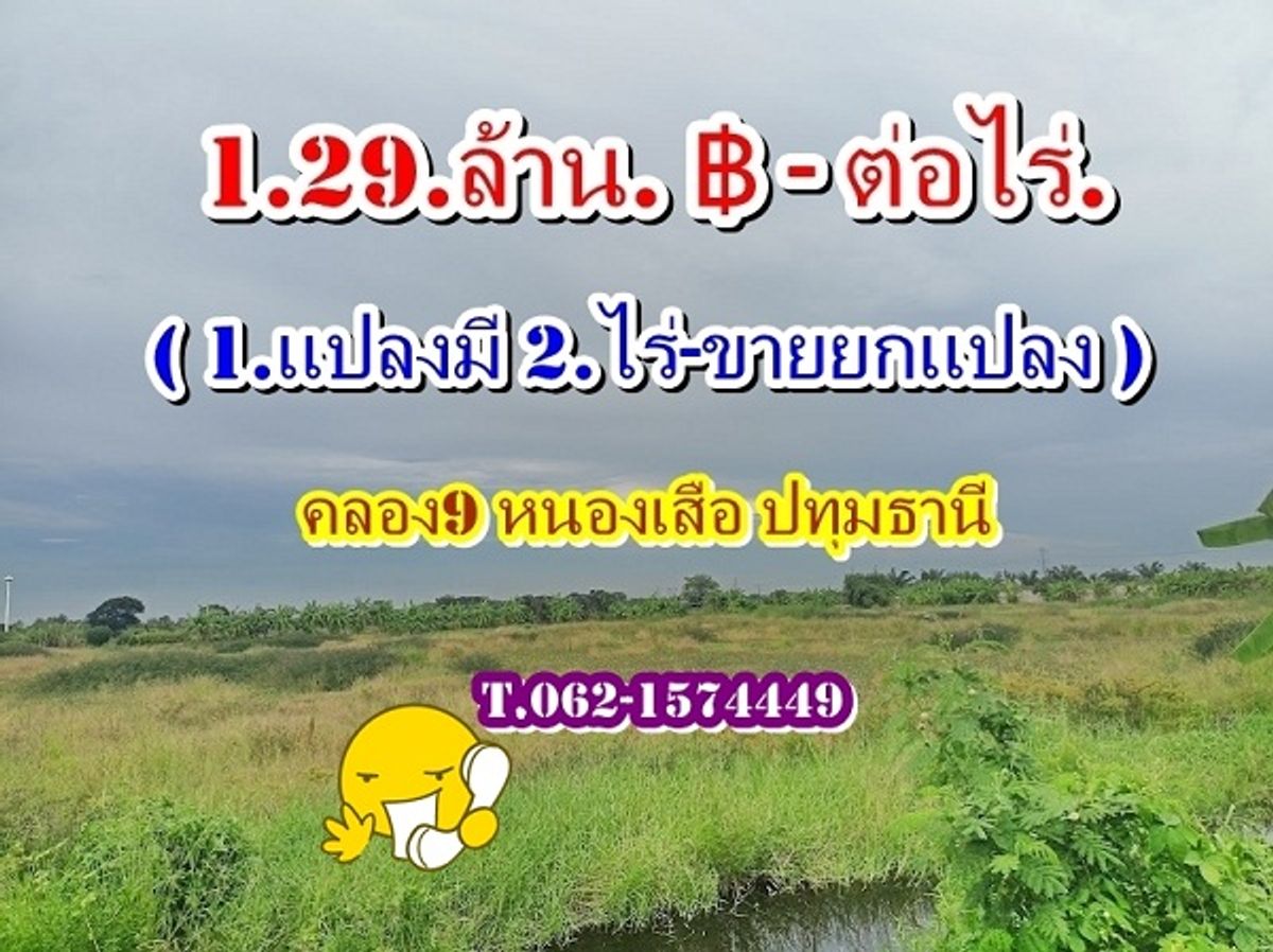 ขายที่ดินปทุมธานี รังสิต ธรรมศาสตร์ : ทะยอยหมดที่ดินถูกแบ่งแปลงขาย-แบ่งชำระได้ 1.ปี ที่คลอง9_หนองเสือ_ปทุมธานี  ราคา 1,290,000.฿ ต่อไร่ ( 1.แปลงมี 2.ไร่-ขายยกแปลง )  ( แบ่งจ่ายได้ 1.ปี ฟรีดอก) T.062-1574449