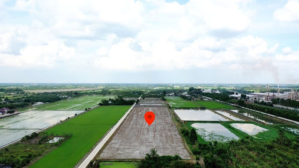 ขายที่ดินนนทบุรี บางใหญ่ บางบัวทอง : ขาย ต่ำกว่าราคาประเมิน ที่ดินไทรใหญ่ ไทรน้อย ประเมิน 1.4 ล้านต่อไร่ ขายเพียง 1 ล้านต่อไร่ ถ.ฤชุพันธุ์ ใกล้ถ.บางบัวทอง-สุพรรณบุรี นนทบุรี