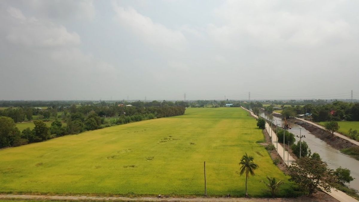 ขายที่ดินอยุธยา : ขาย ที่ดิน ตำบลบ้านแถว อำเภอเสนา จ.พระนครศรีอยุธยา ติดคลอง ใกล้วัดหนองลำเจียก 900 เมตร