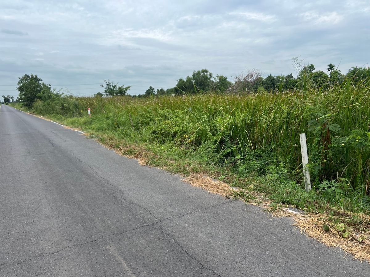 ขายที่ดินแม่ฮ่องสอน : ขายที่ดินแปลงนี้ เนื้อที่ 88 ตรว จำนวน 2 แปลง ขนาดที่ดิน แต่ละแปลง กว้าง 15.42 เมตร ลึก 23.24 เมตร ใกล้ อบต. วังจุฬา  ซอย วังจุฬาซอย 7  อำเภอวังน้อย จังหวัดพระนครศรีอยุธยา